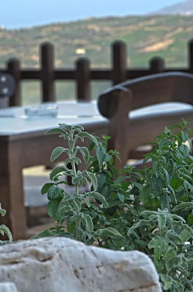 Restaurant/places to eat in Earino