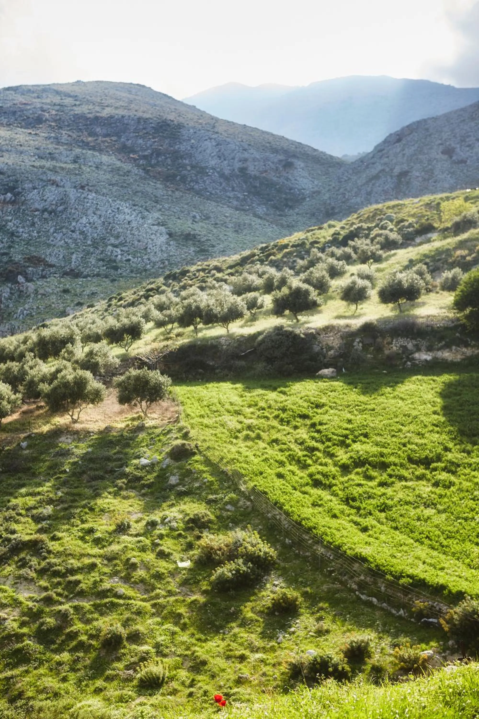 Natural landscape in Earino