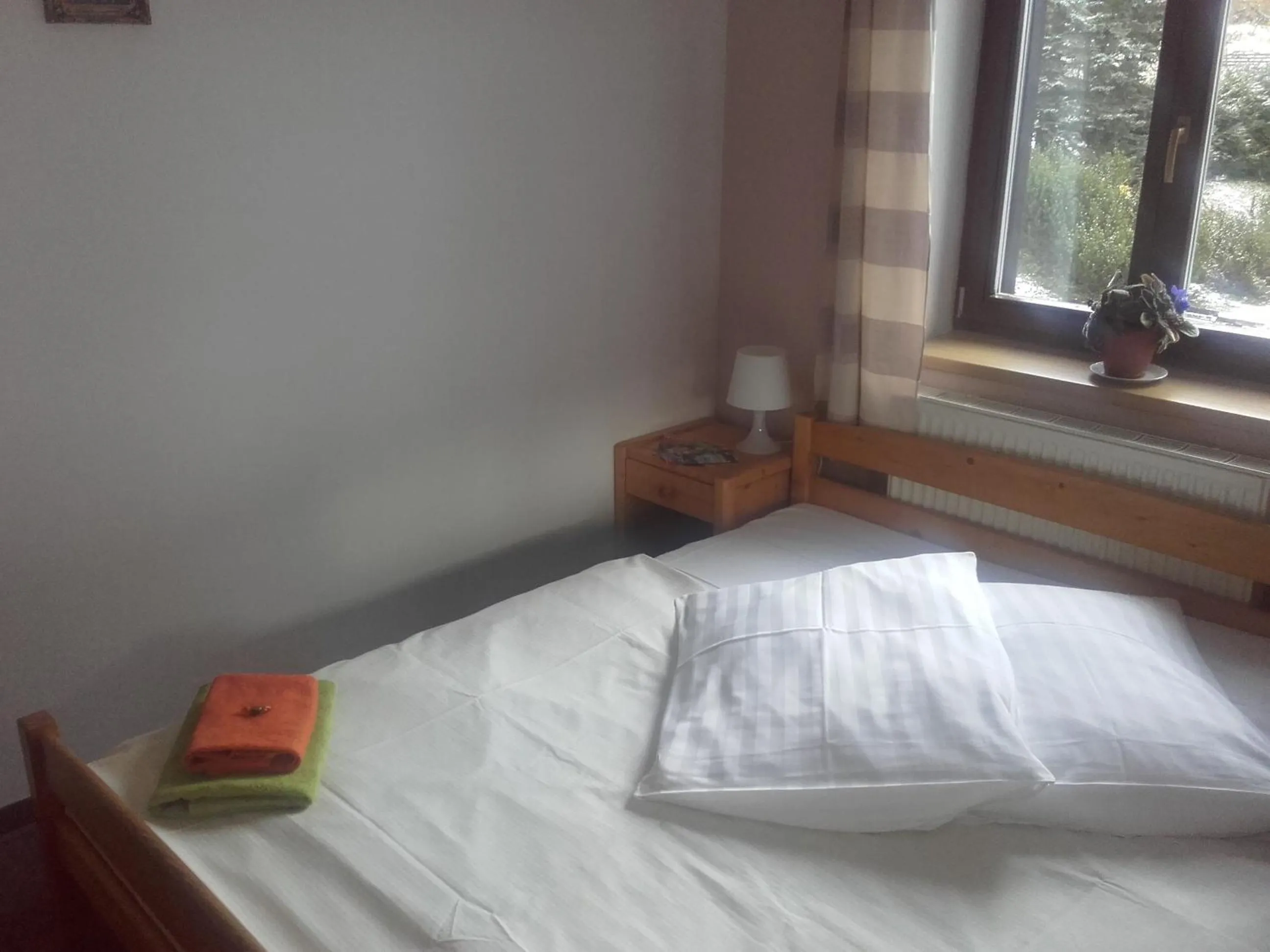 Photo of the whole room, Bed in Hotel Anna