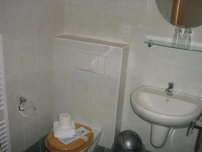 Toilet in Hotel Anna