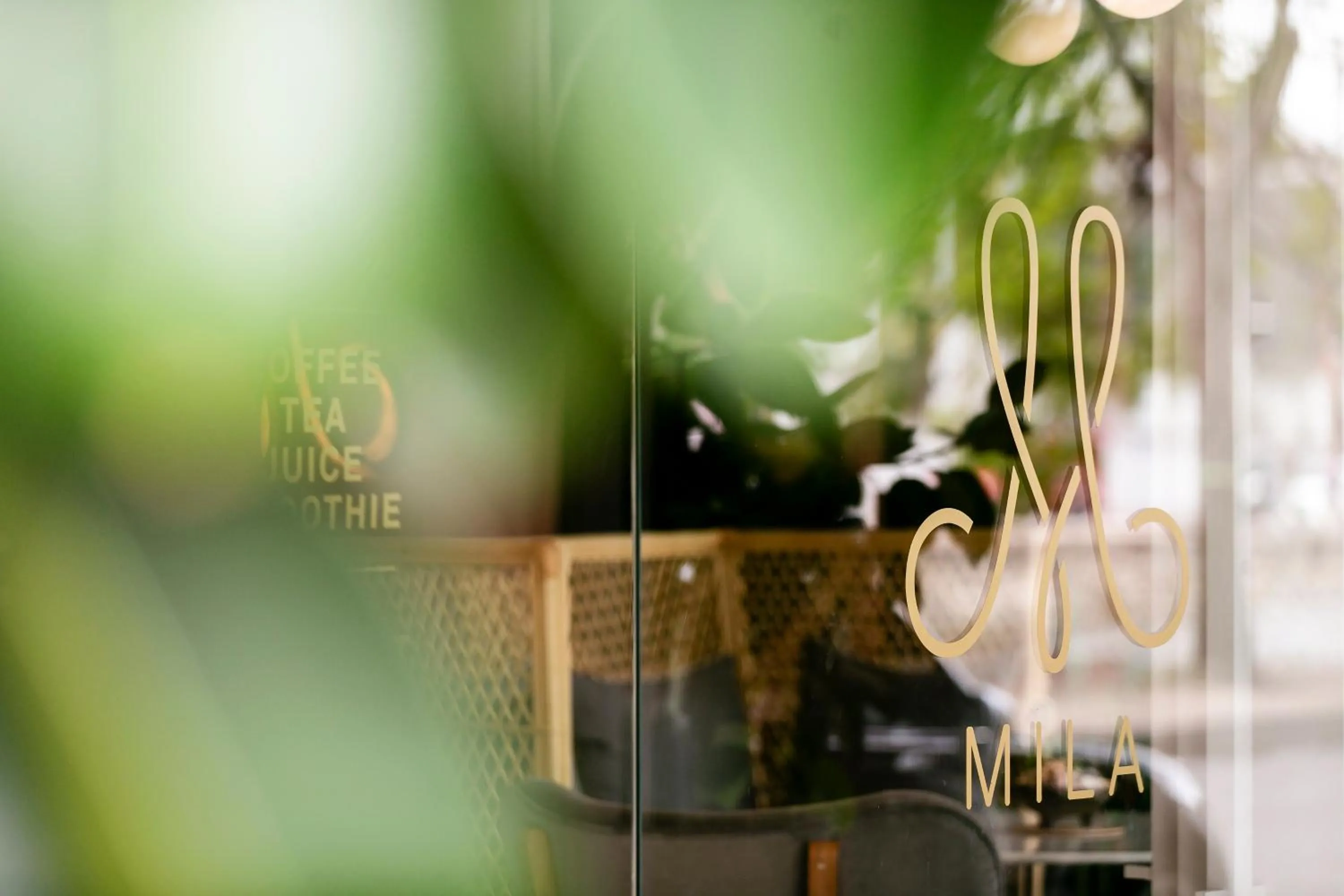 MiLa Thapae@Chiang Mai Old City