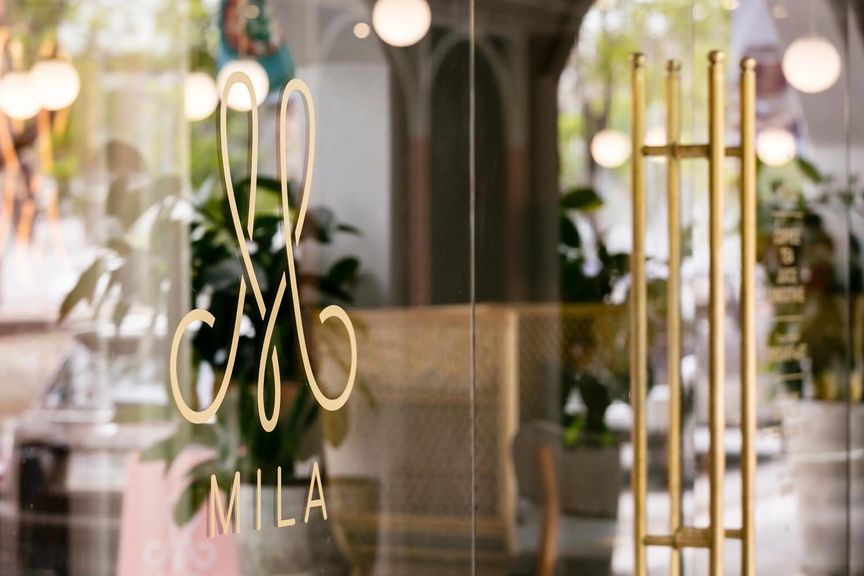 MiLa Thapae@Chiang Mai Old City