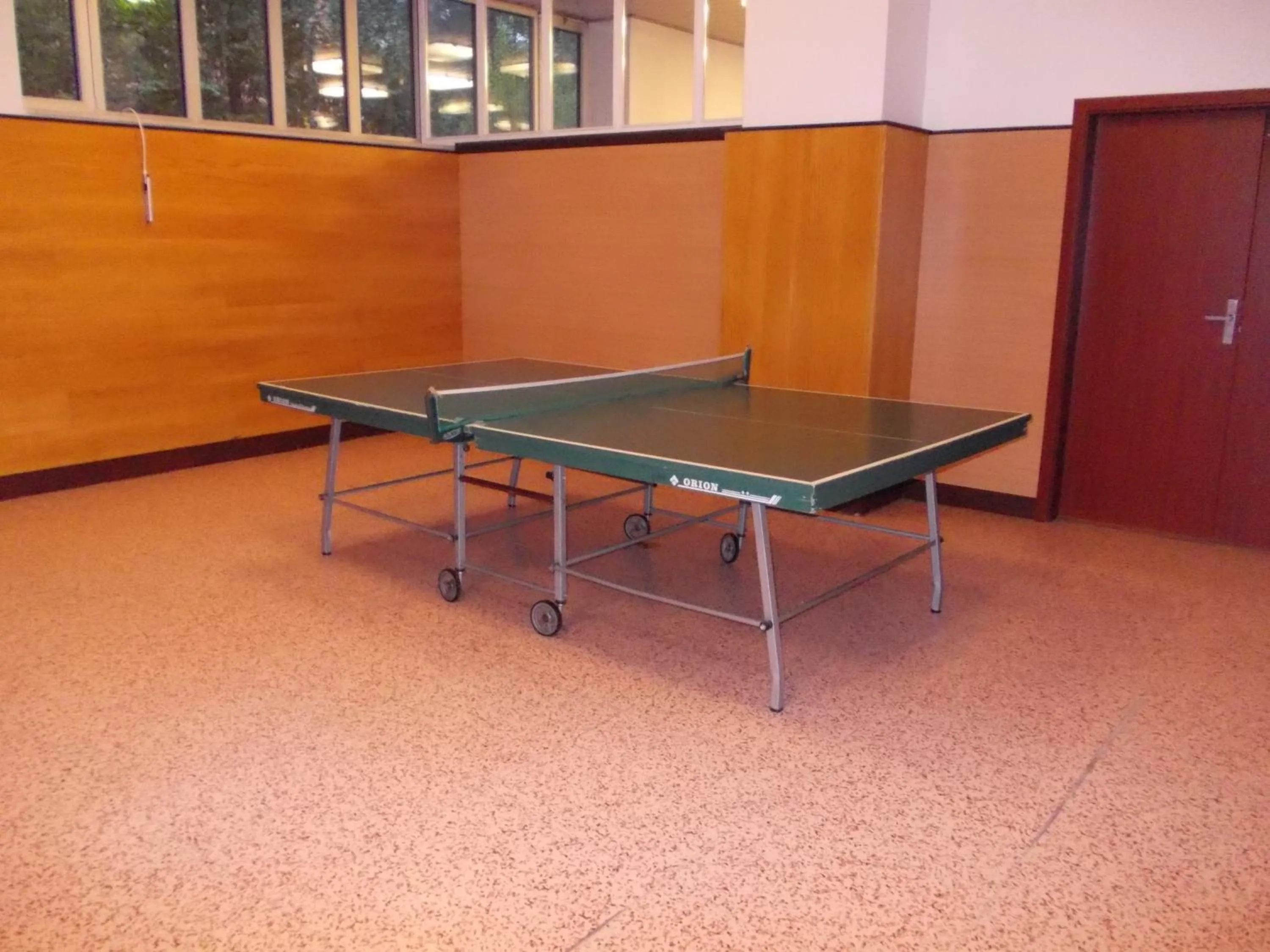 Table tennis in Hotel Bezdez Stare Splavy