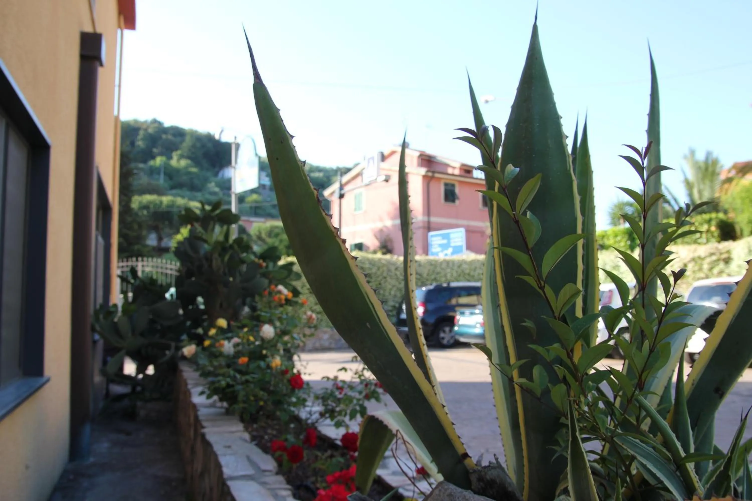 Day in Albergo La Mimosa