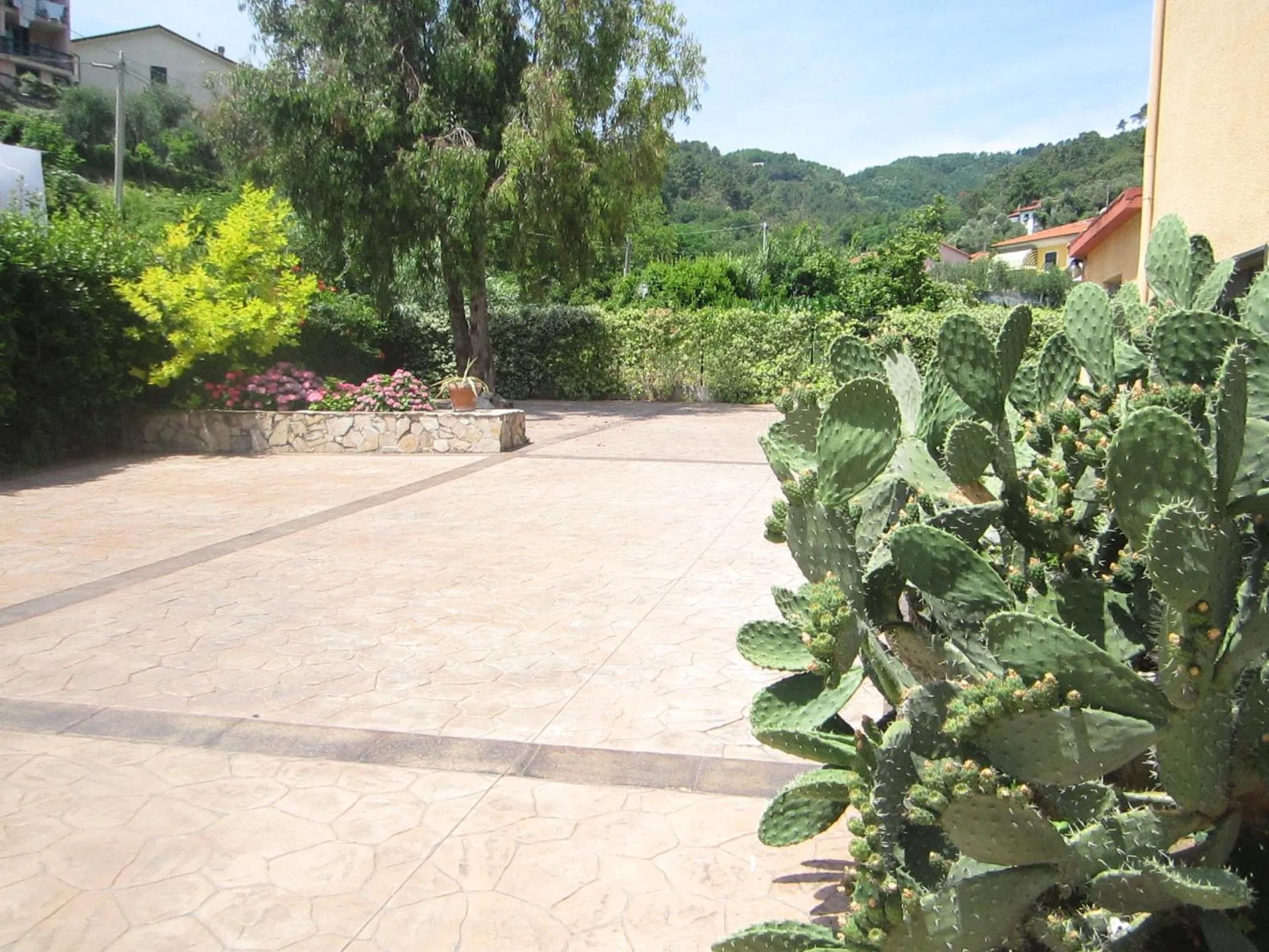 Garden in Albergo La Mimosa