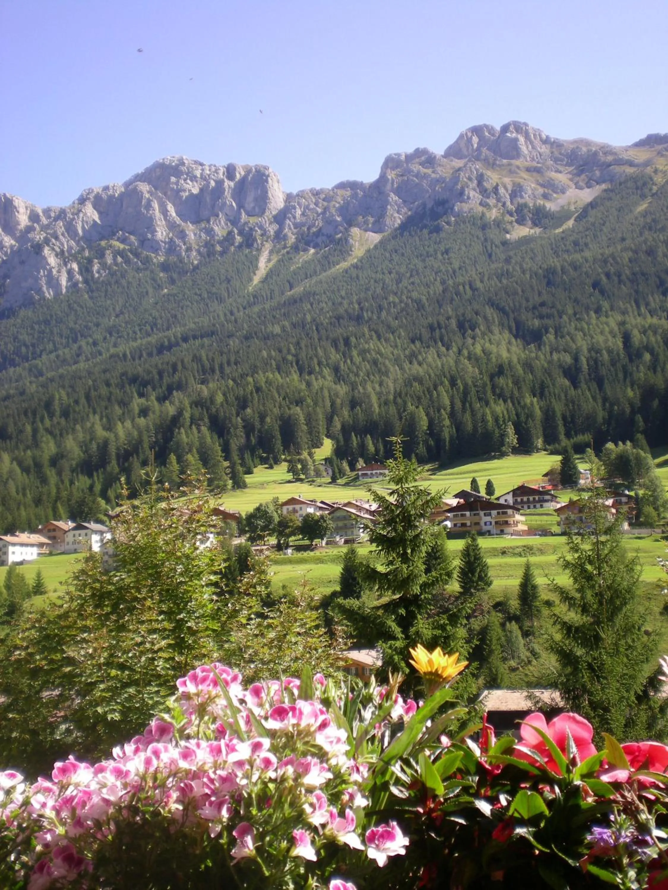 Day in Hotel Des Alpes