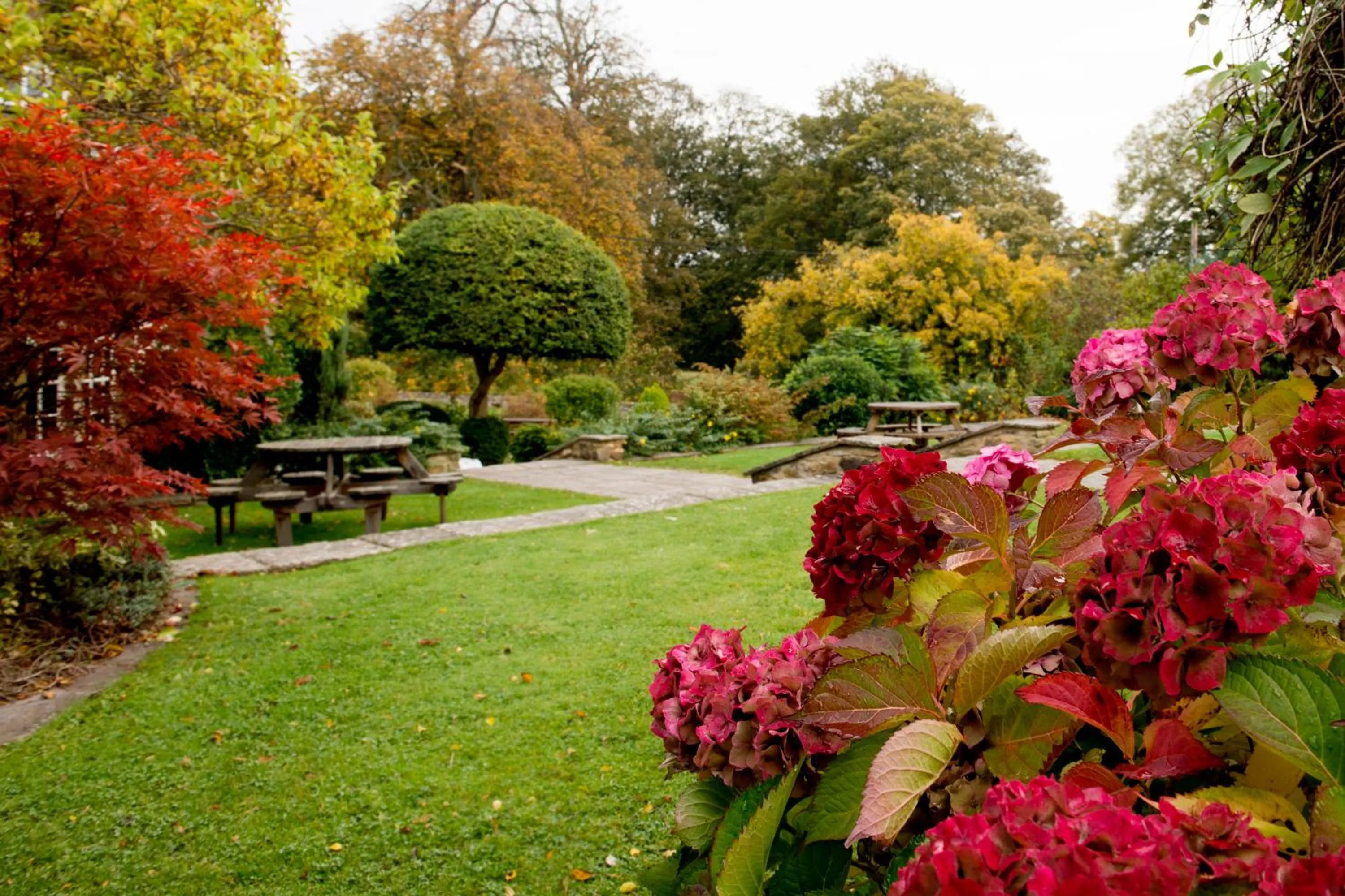 Spring in The Morritt Hotel