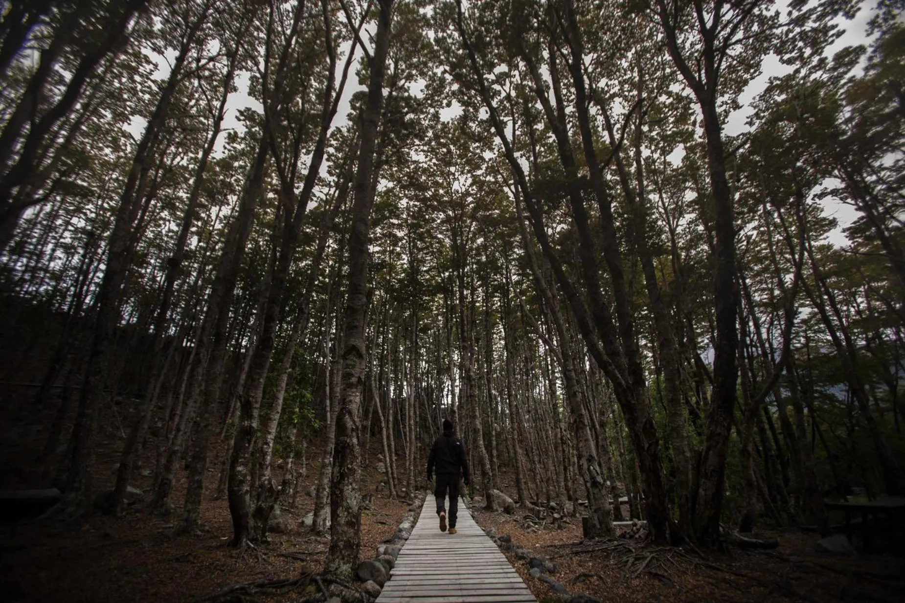 Activities in The Singular Patagonia Hotel