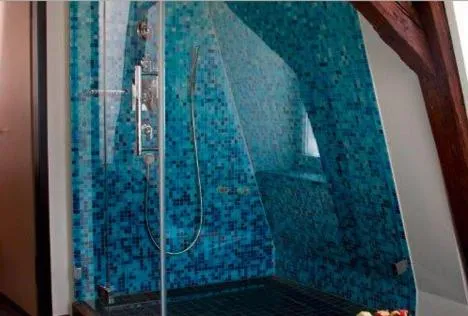 Shower in Schlosshotel Bergzaberner Hof