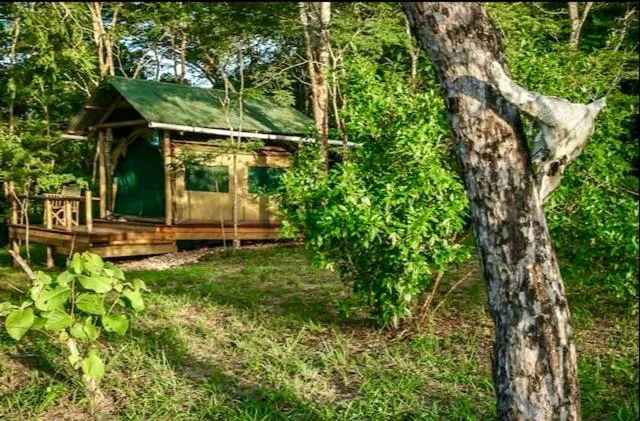 Property building in Miseni Retreat