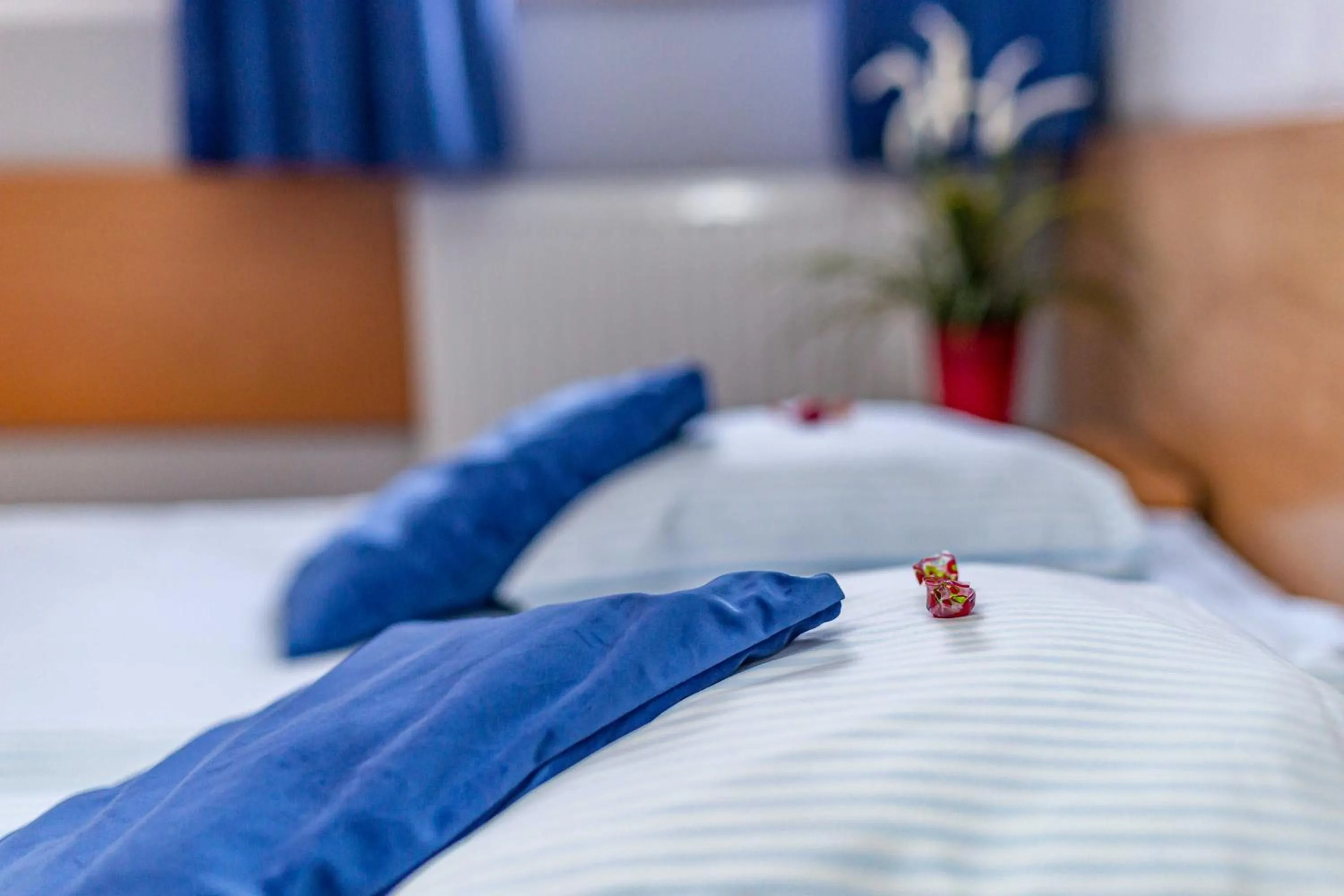 Double Room - single occupancy in Metropol