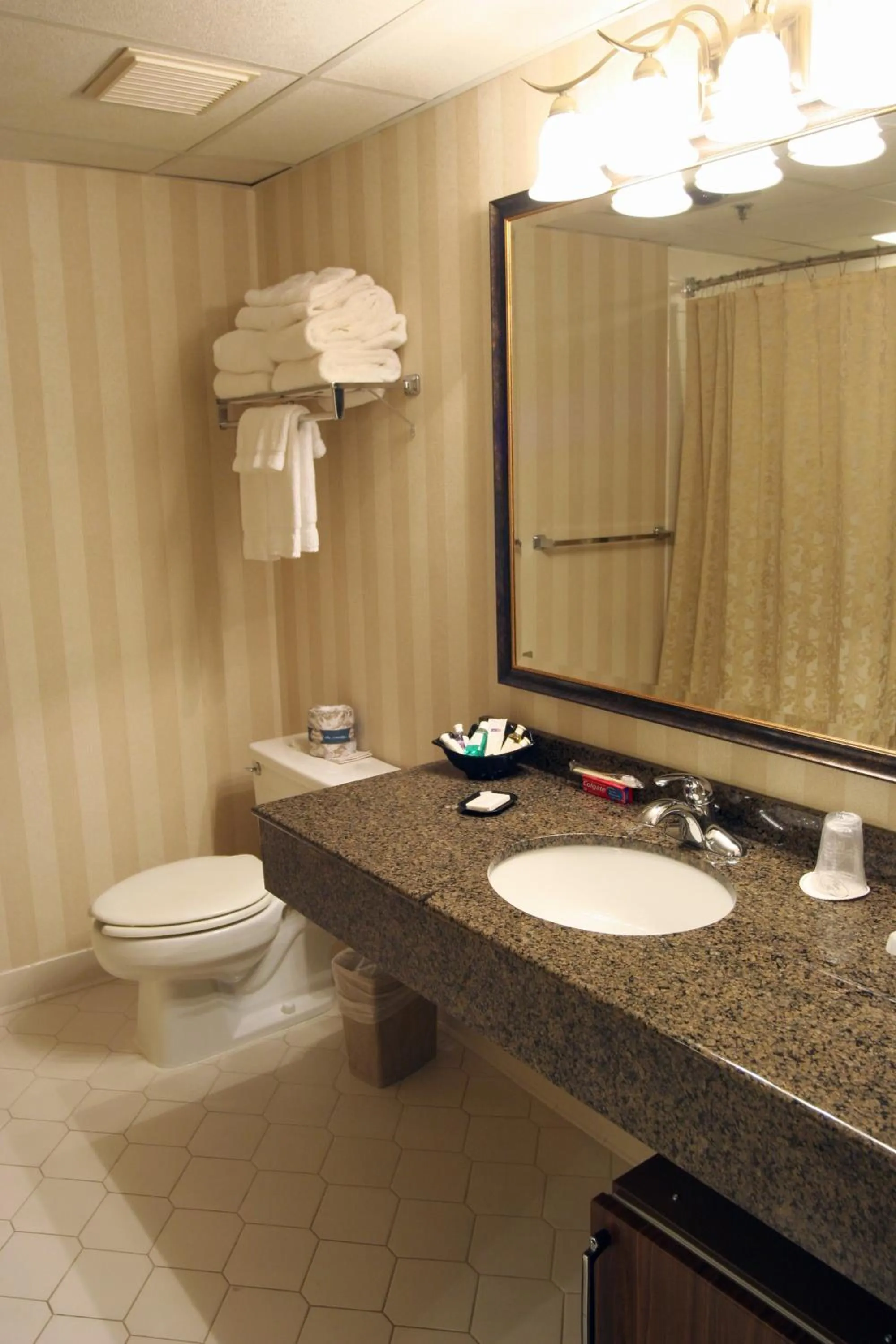 Bathroom in Ramada Plaza by Wyndham Hagerstown