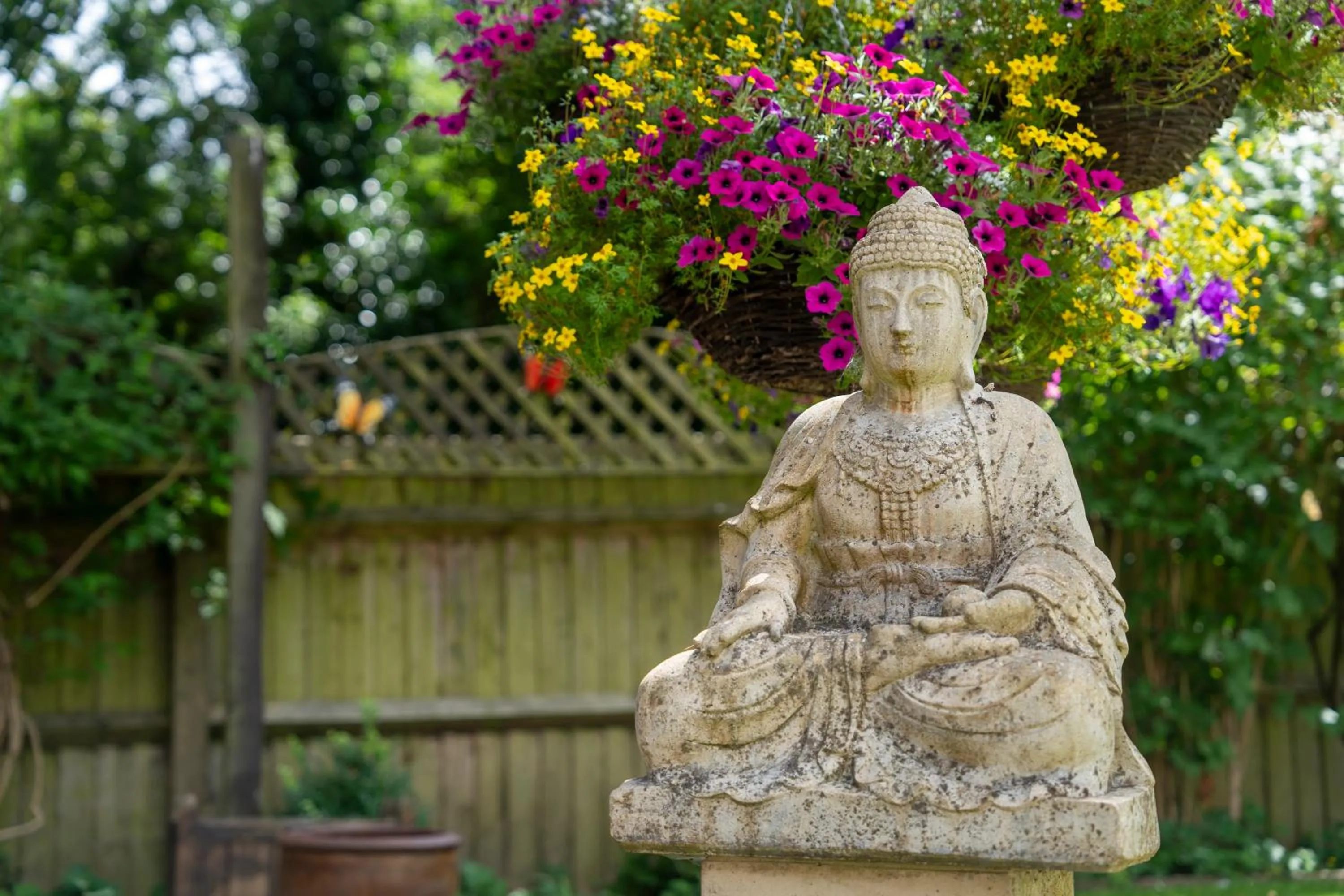 Garden in Marlborough House - Guest House