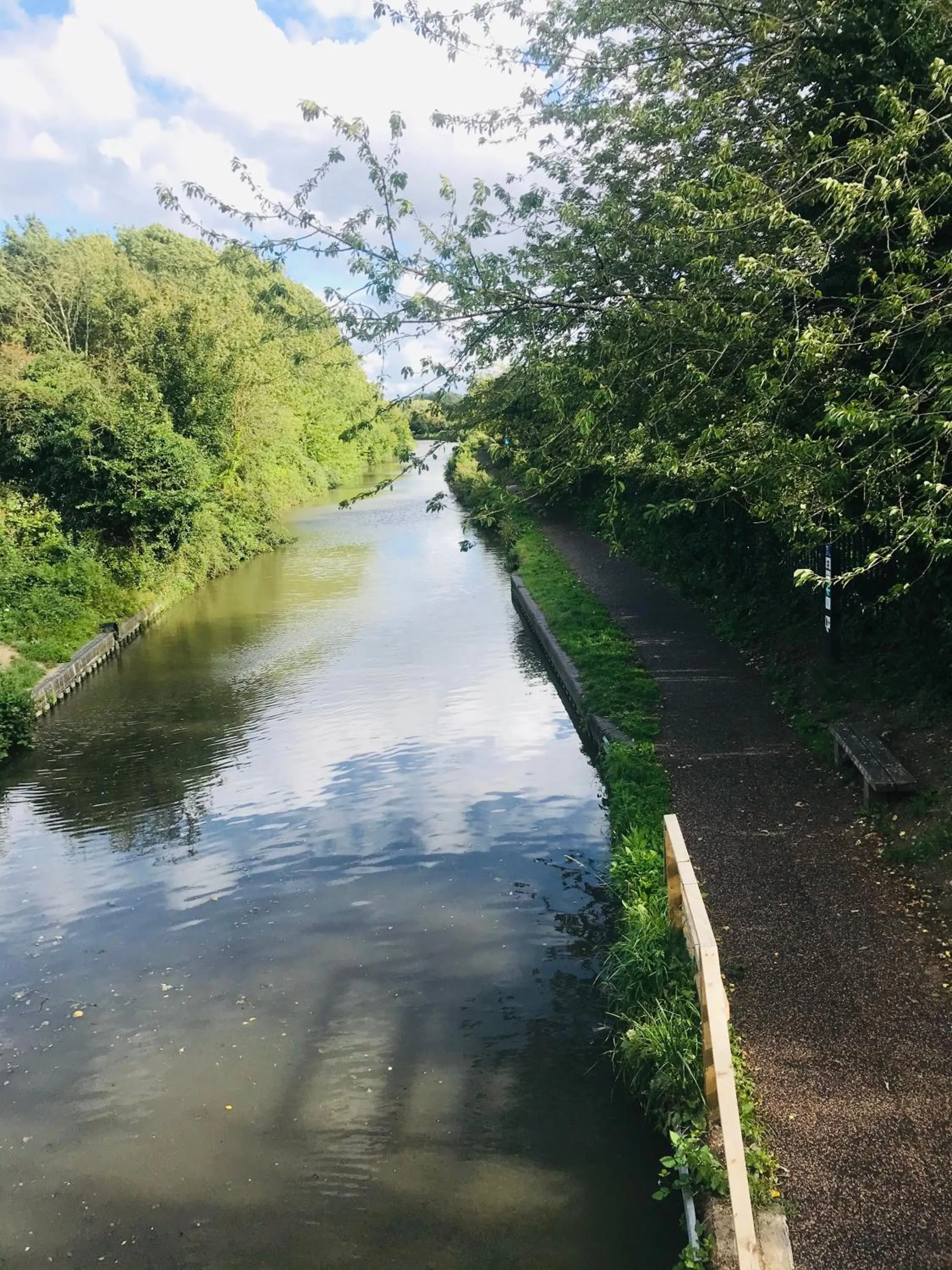 Natural landscape in Marlborough House - Guest House
