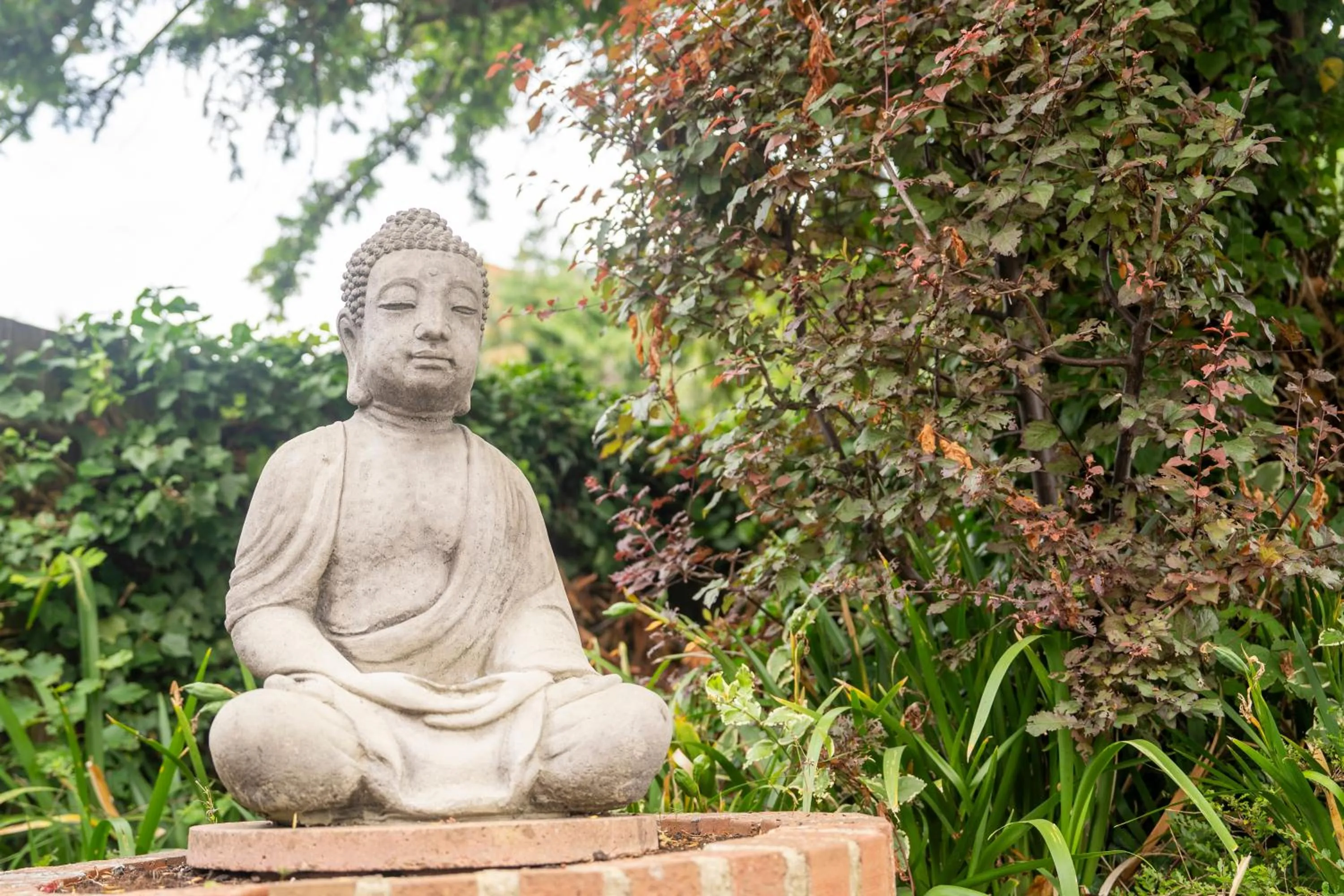 Garden in Marlborough House - Guest House