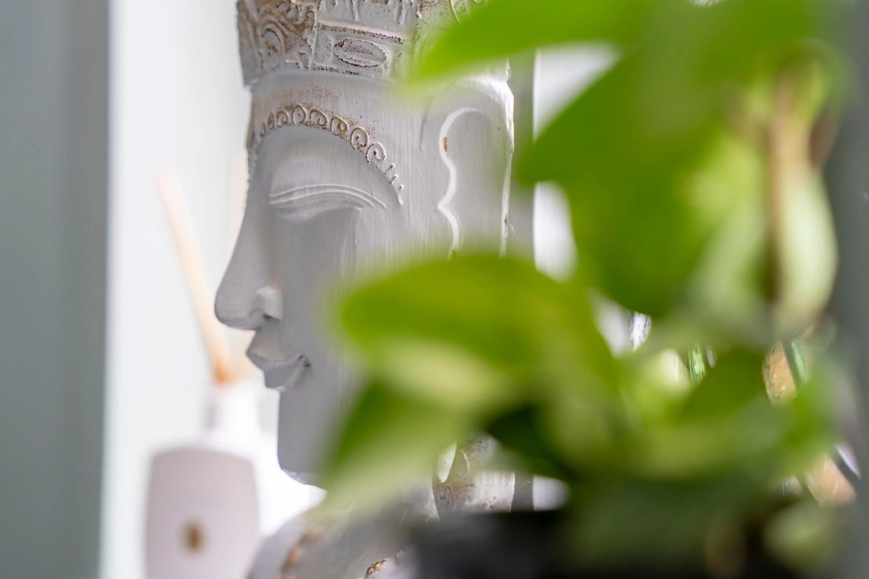 Decorative detail in Marlborough House - Guest House