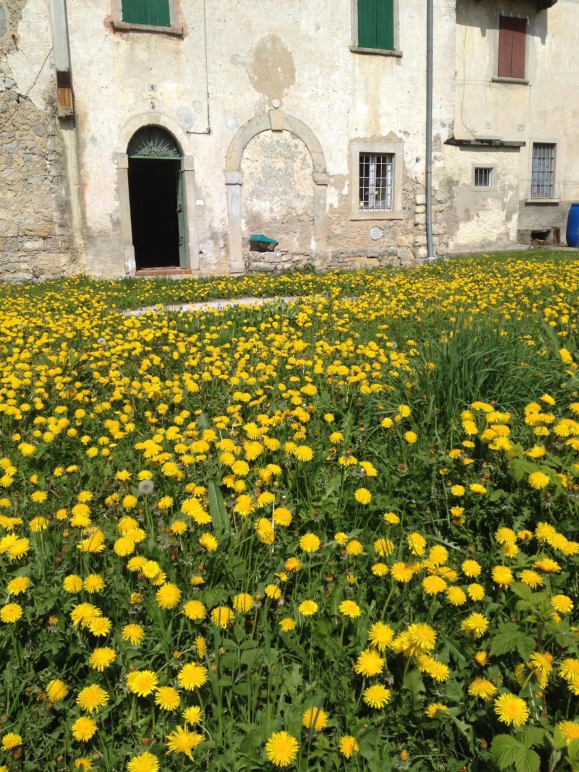 Garden in B&B COME UN TEMPO