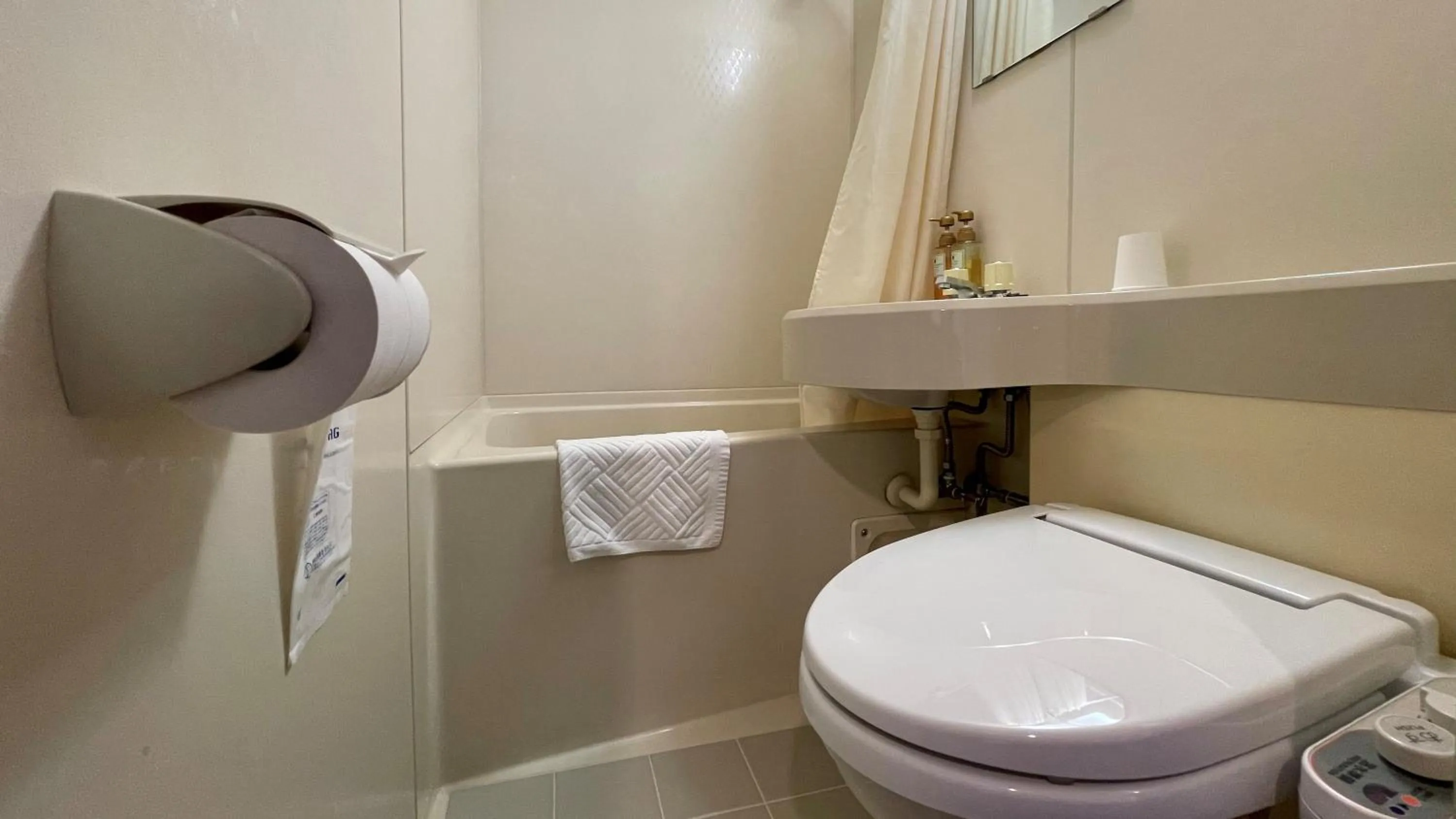 Toilet in Hitachi Hotel Crane