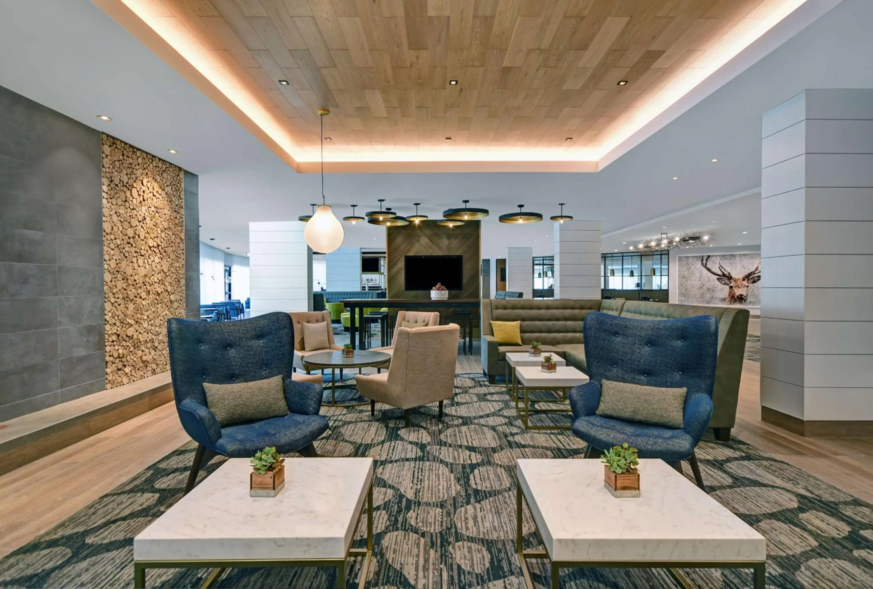 Lobby or reception in Hilton Peachtree City Atlanta Hotel & Conference Center