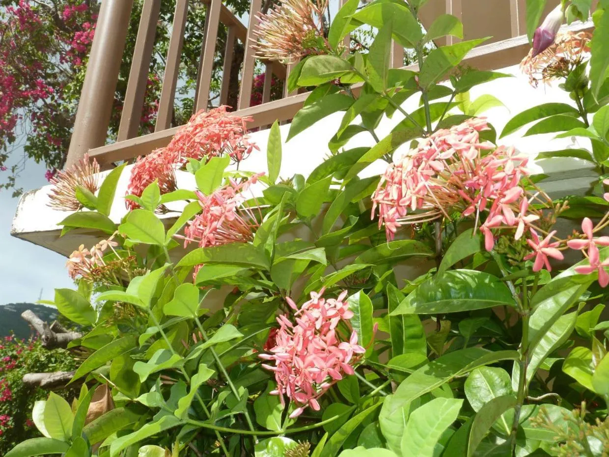 Area and facilities in Galleon House Hotel