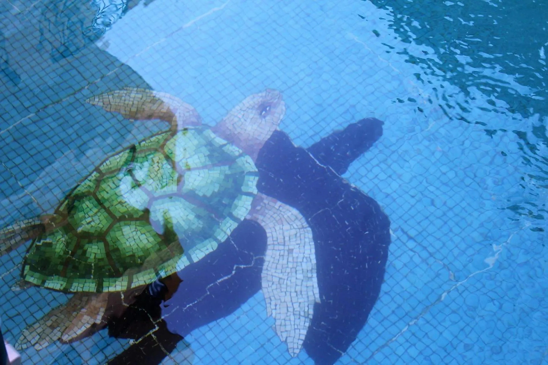 Swimming pool in Hotel Residencial