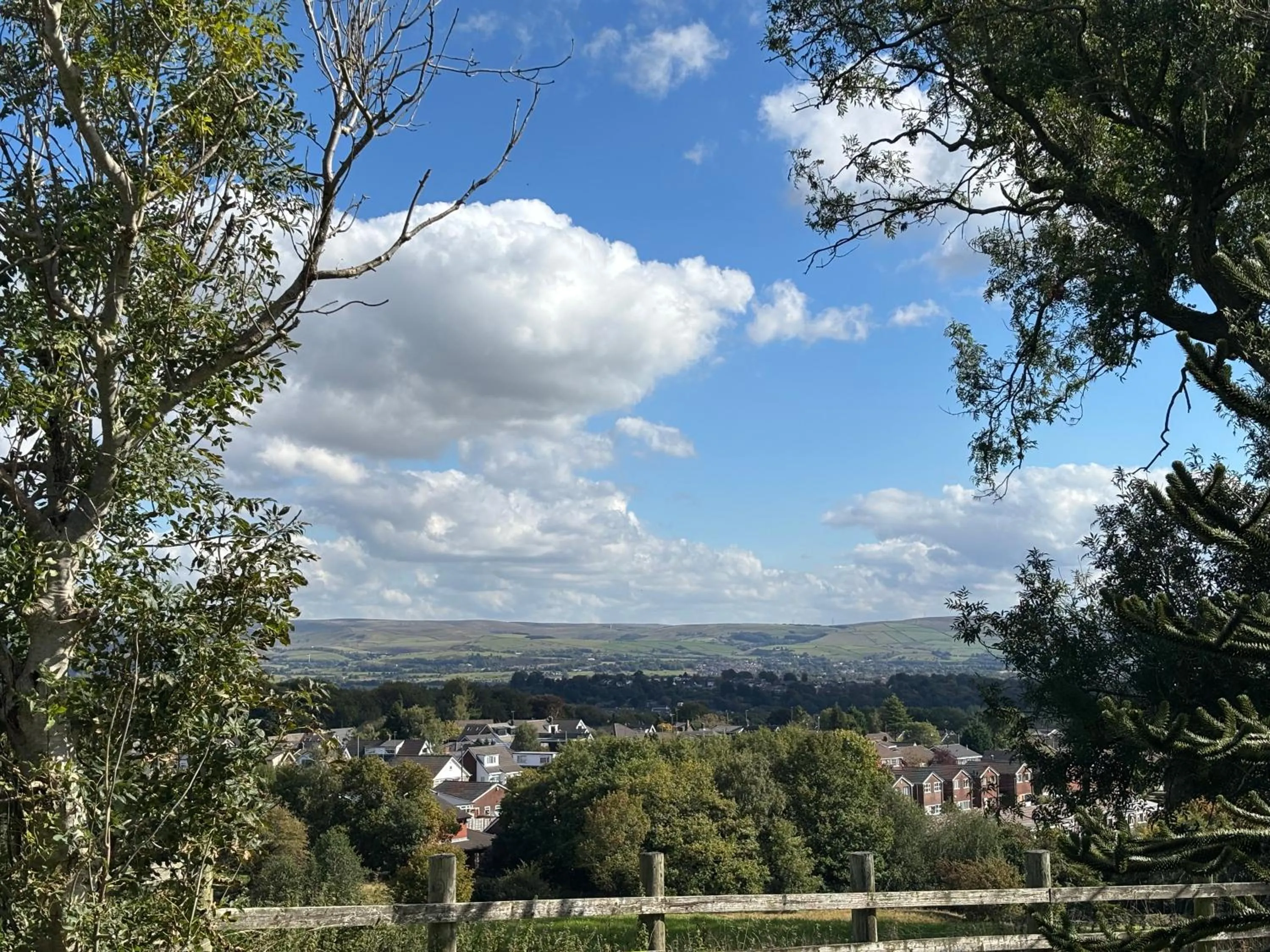Natural landscape in Fernhill Hotel