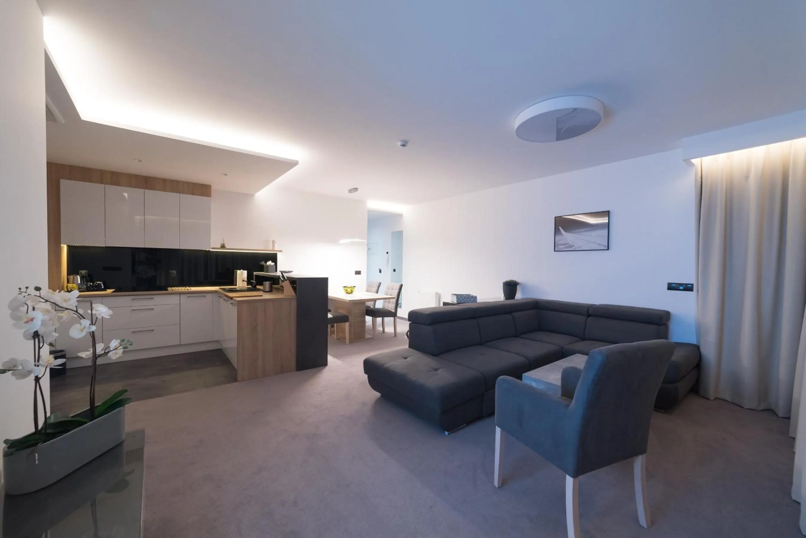 Kitchen or kitchenette in Apart-Hotel VIVI RESIDENCE & SPA