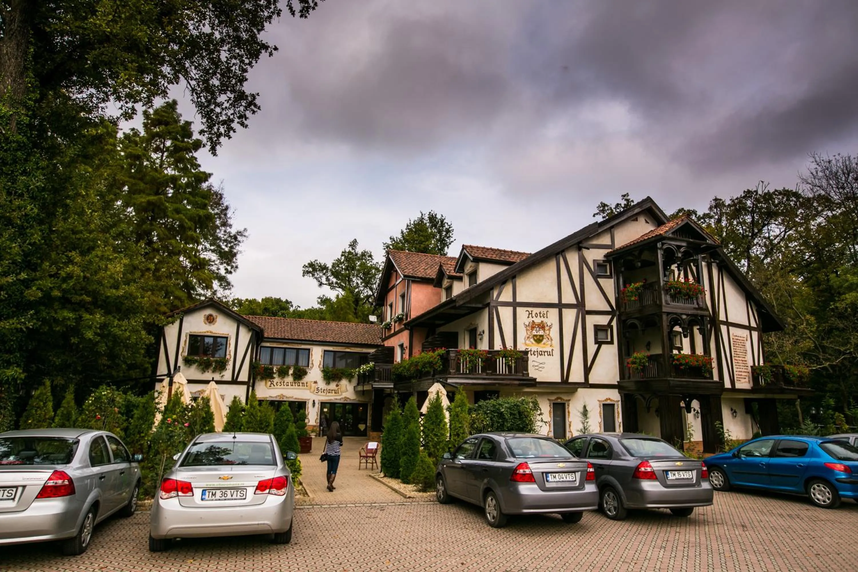 Facade/entrance in Hotel Stejarul