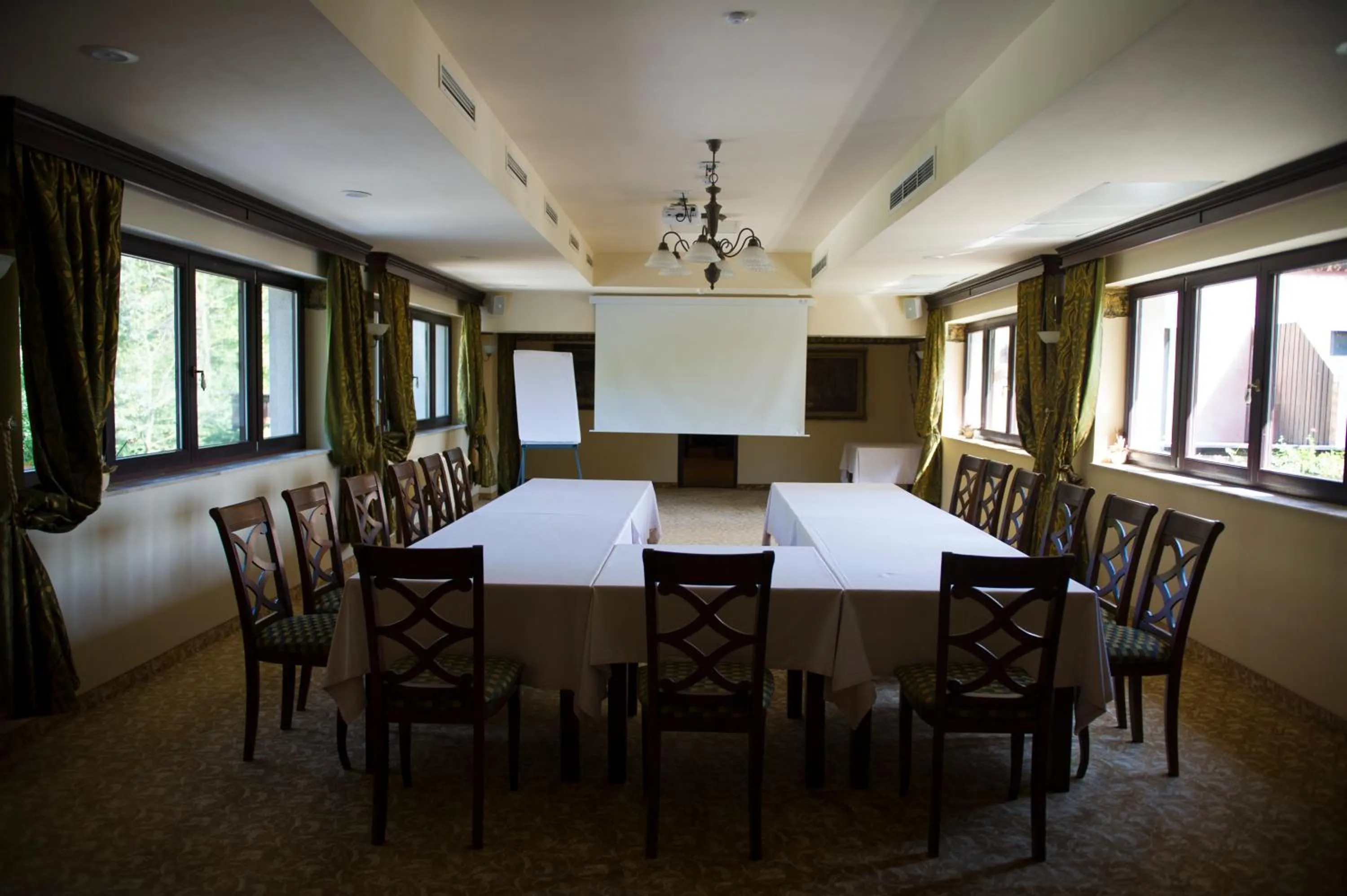 Meeting/conference room in Hotel Stejarul