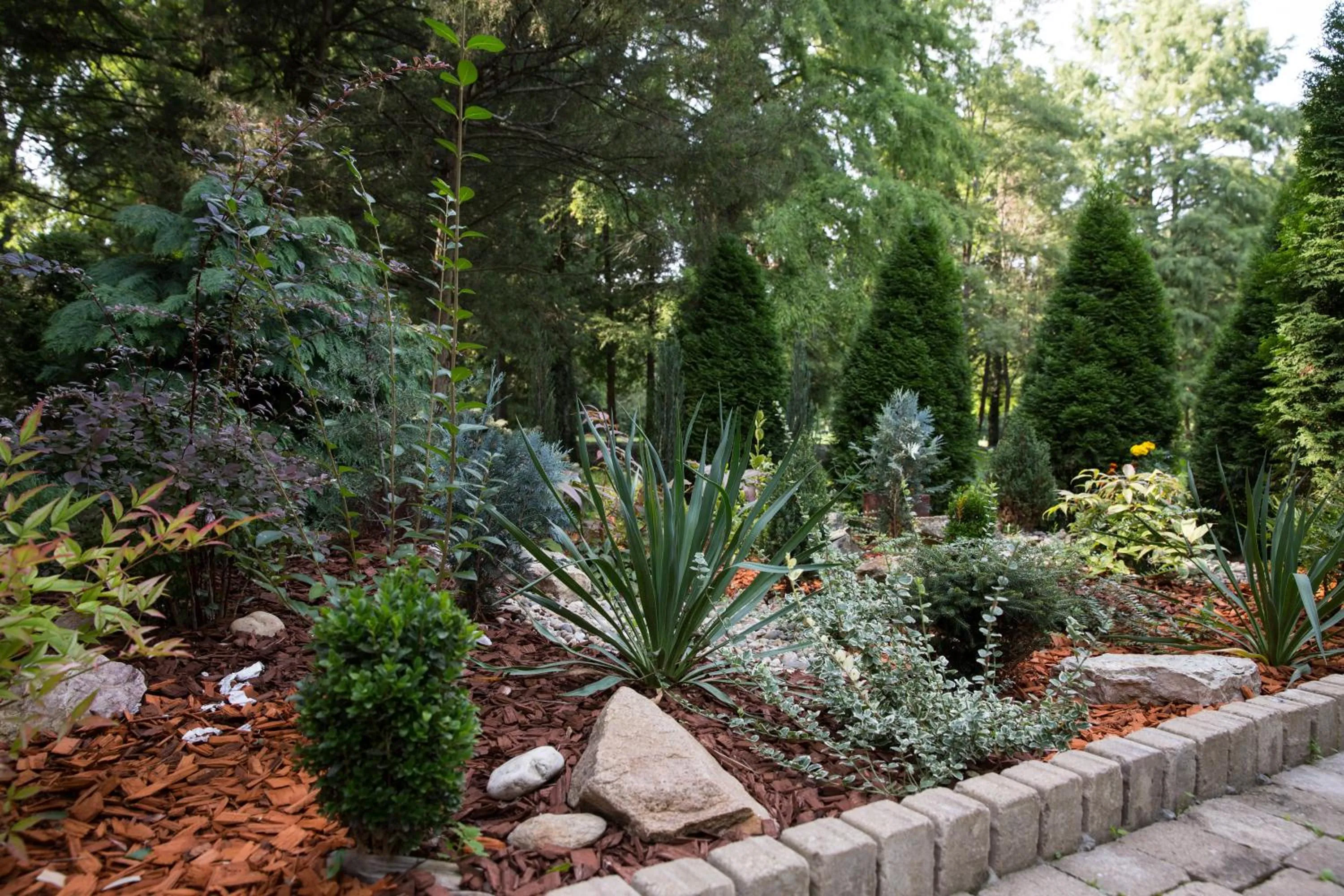 Garden in Hotel Stejarul