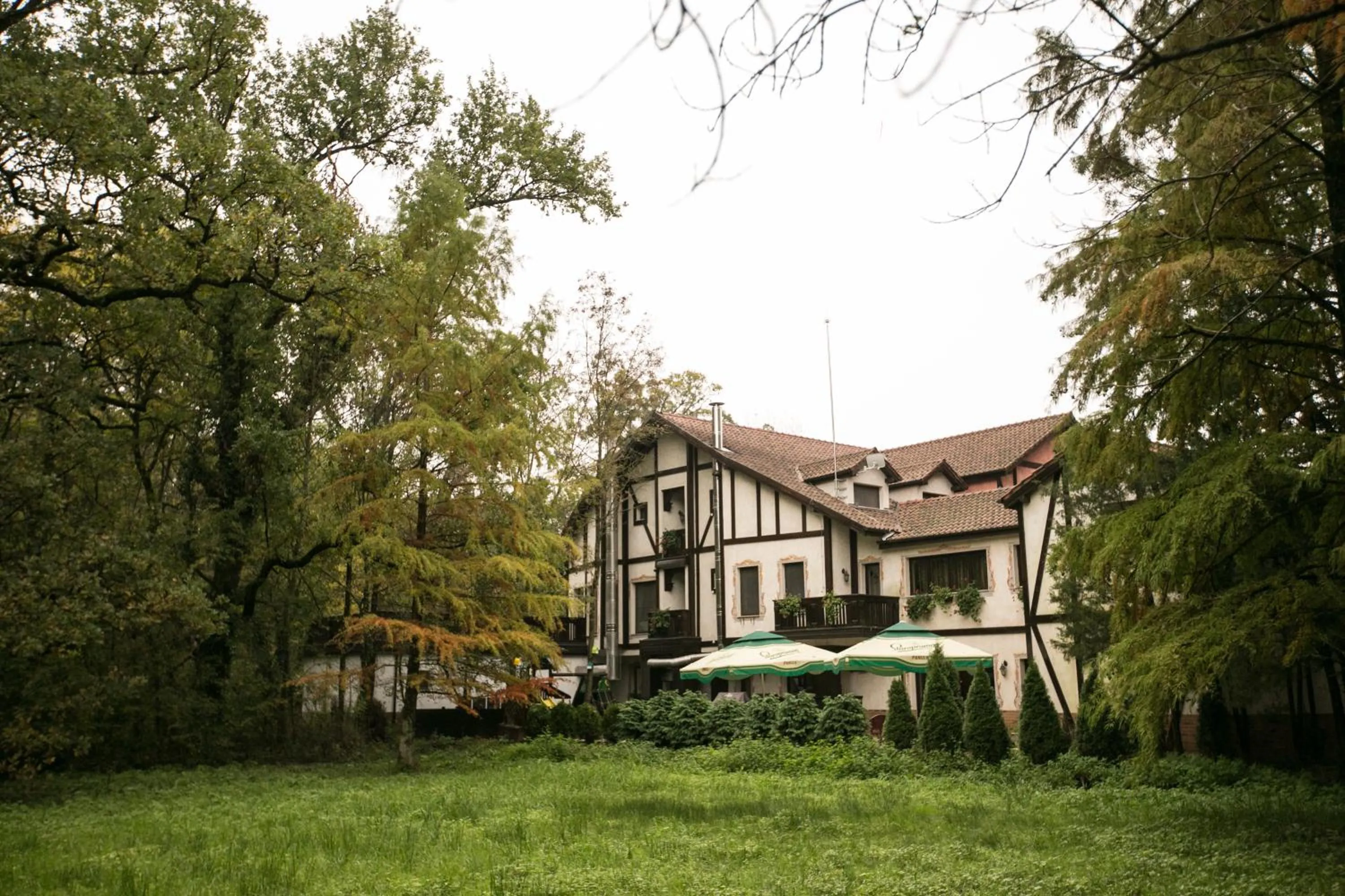 Facade/entrance in Hotel Stejarul