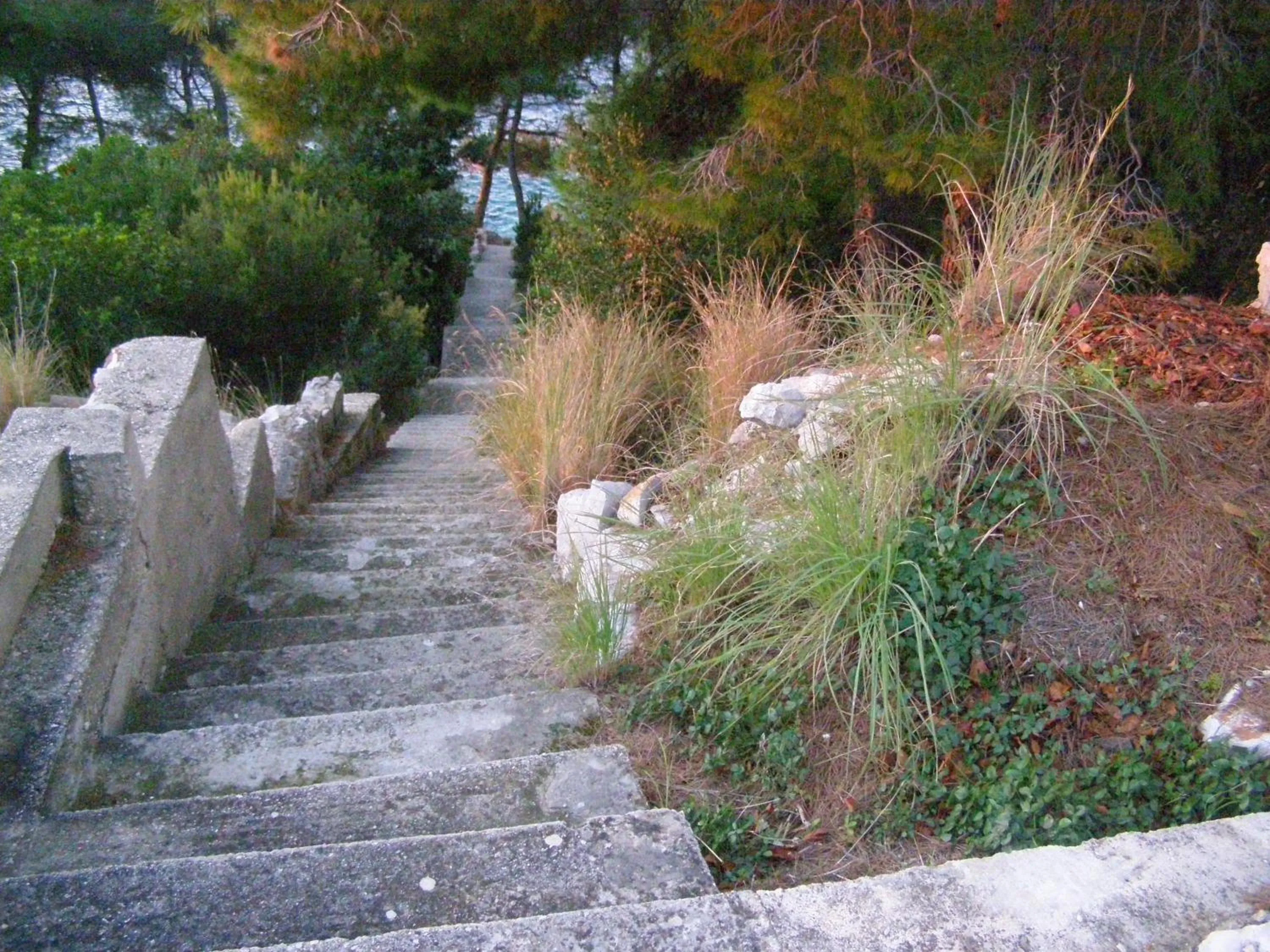 Natural landscape in Apartments Martina