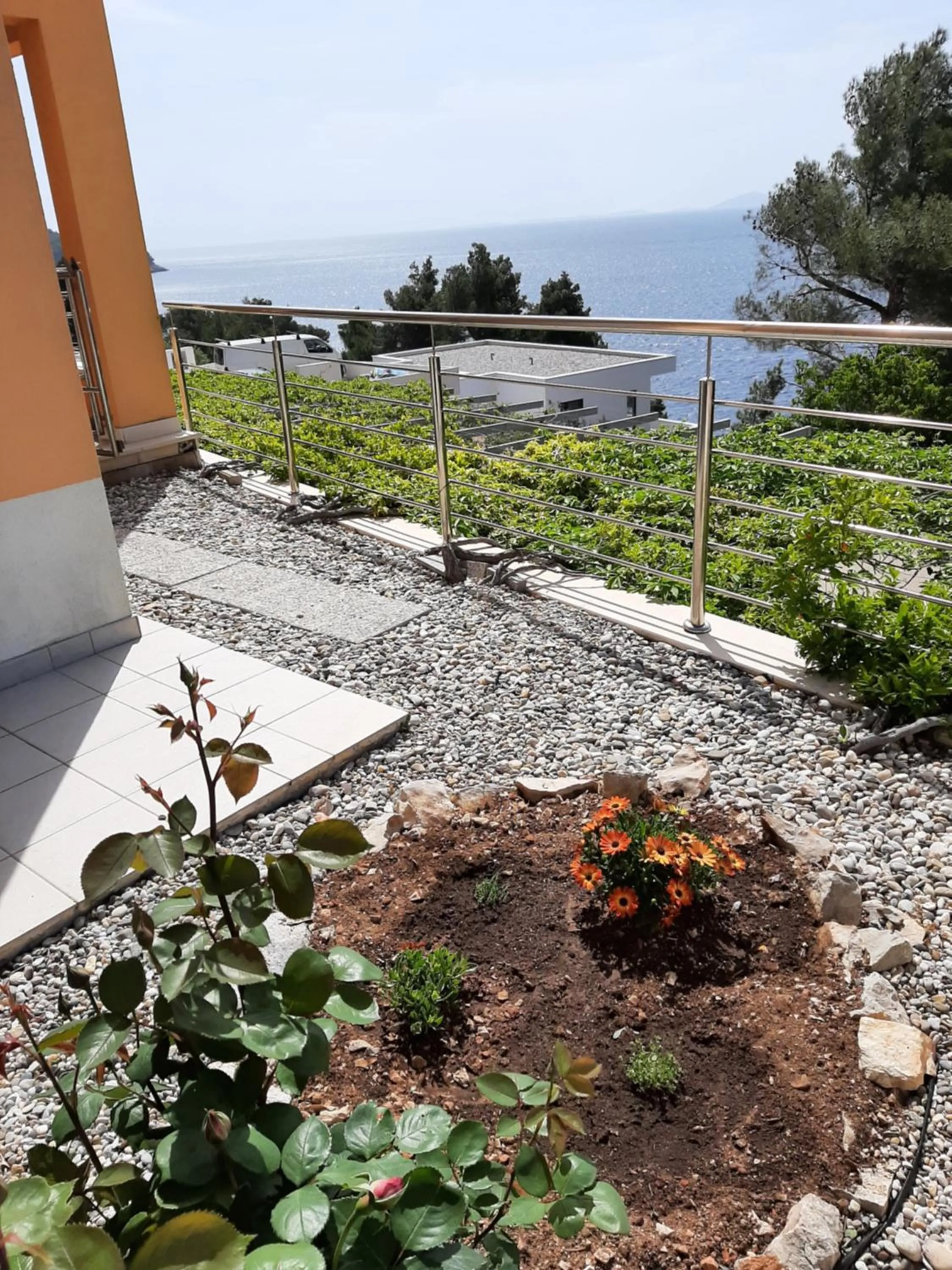 Property building in Apartments Martina
