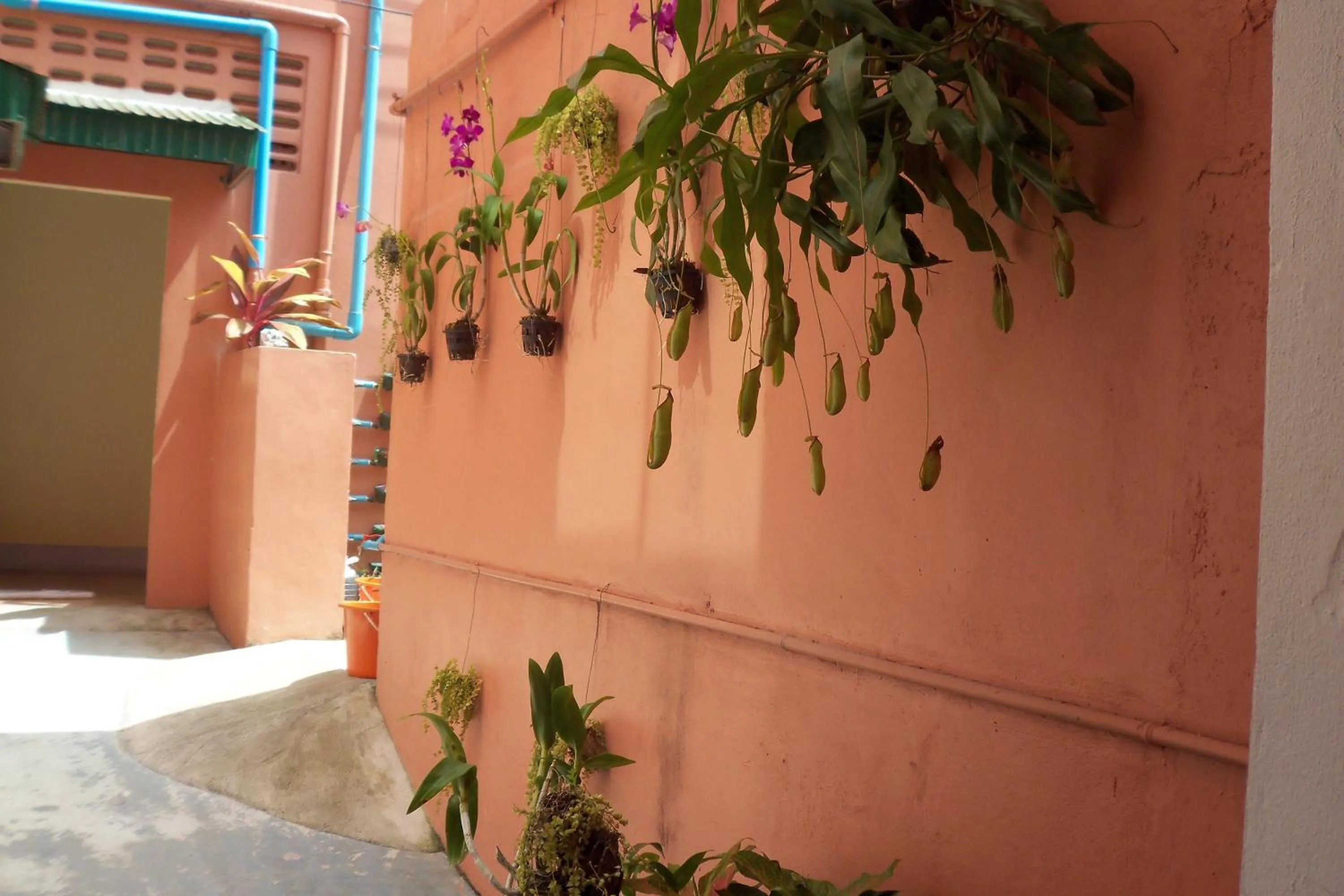 Property building in D's Corner & Guesthouse