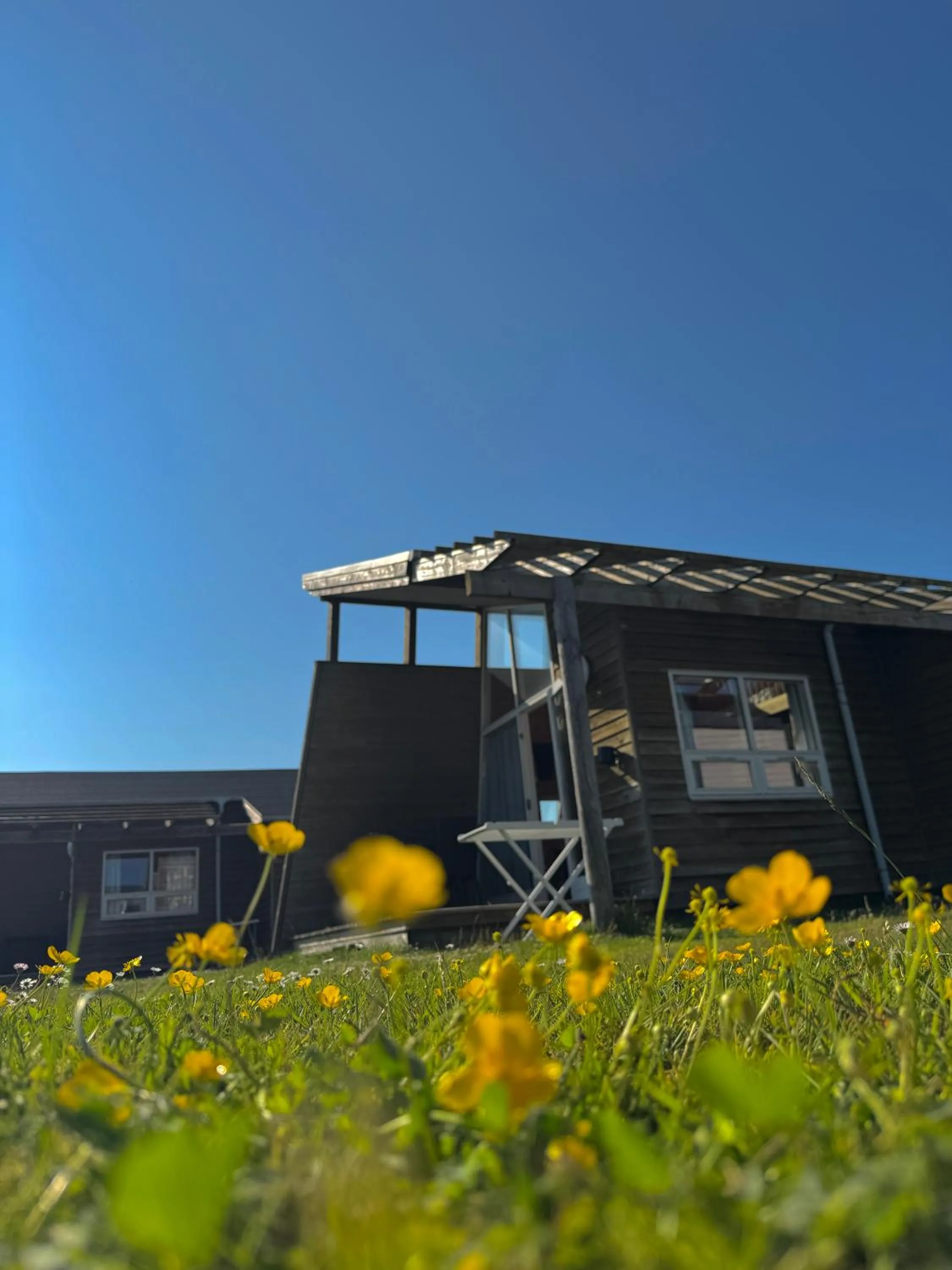 Spring in Dancamps Kolding City