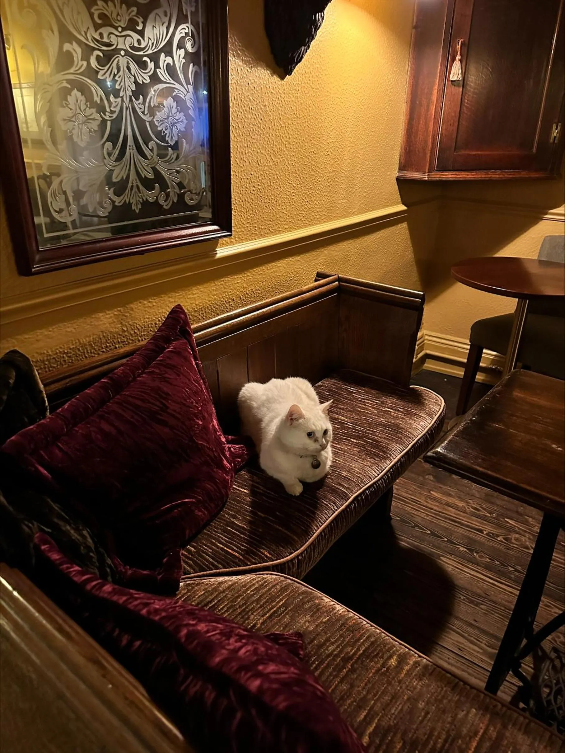 Pets in The George Hotel Easingwold