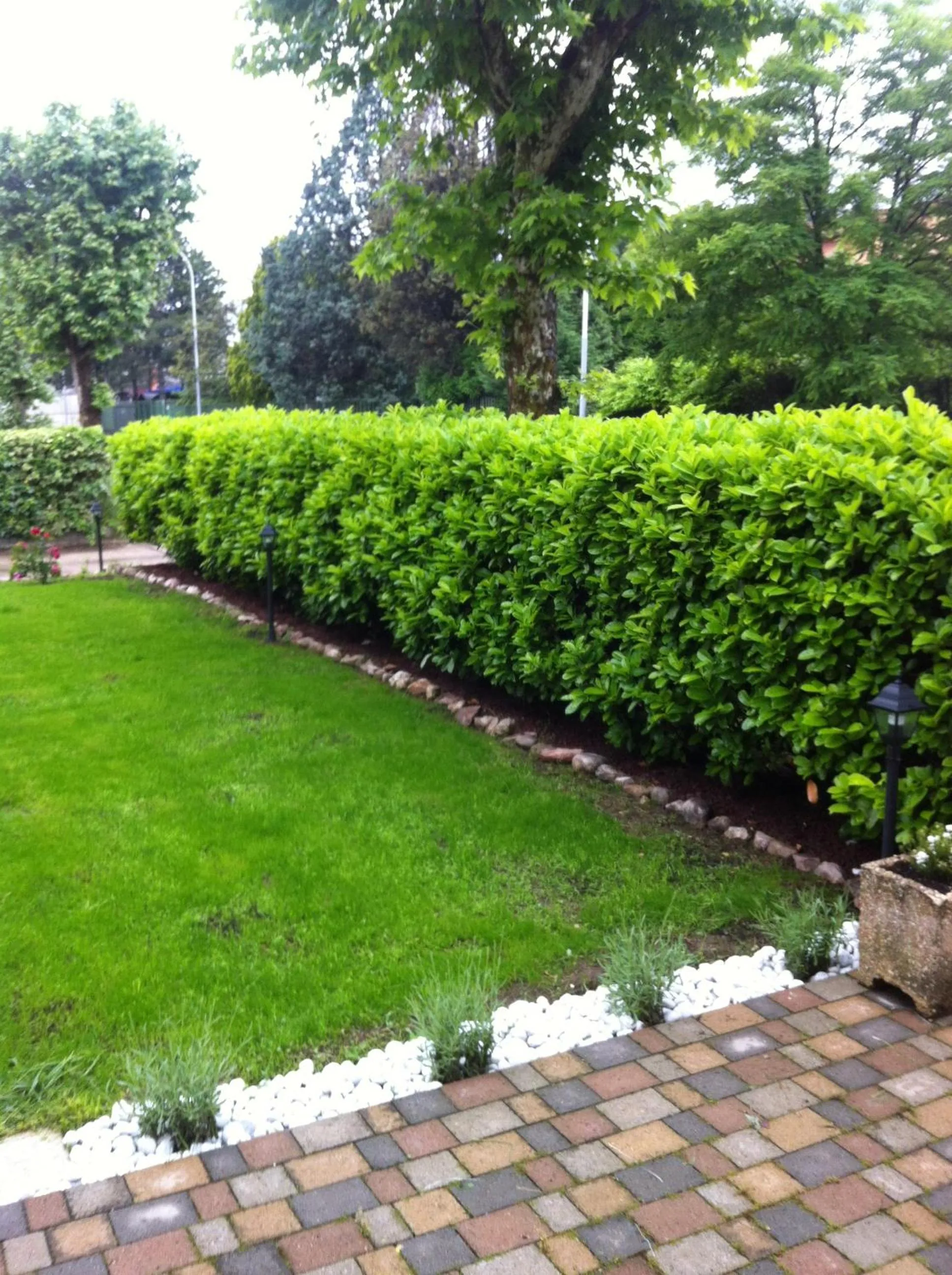 Garden view in B&B Raffiori