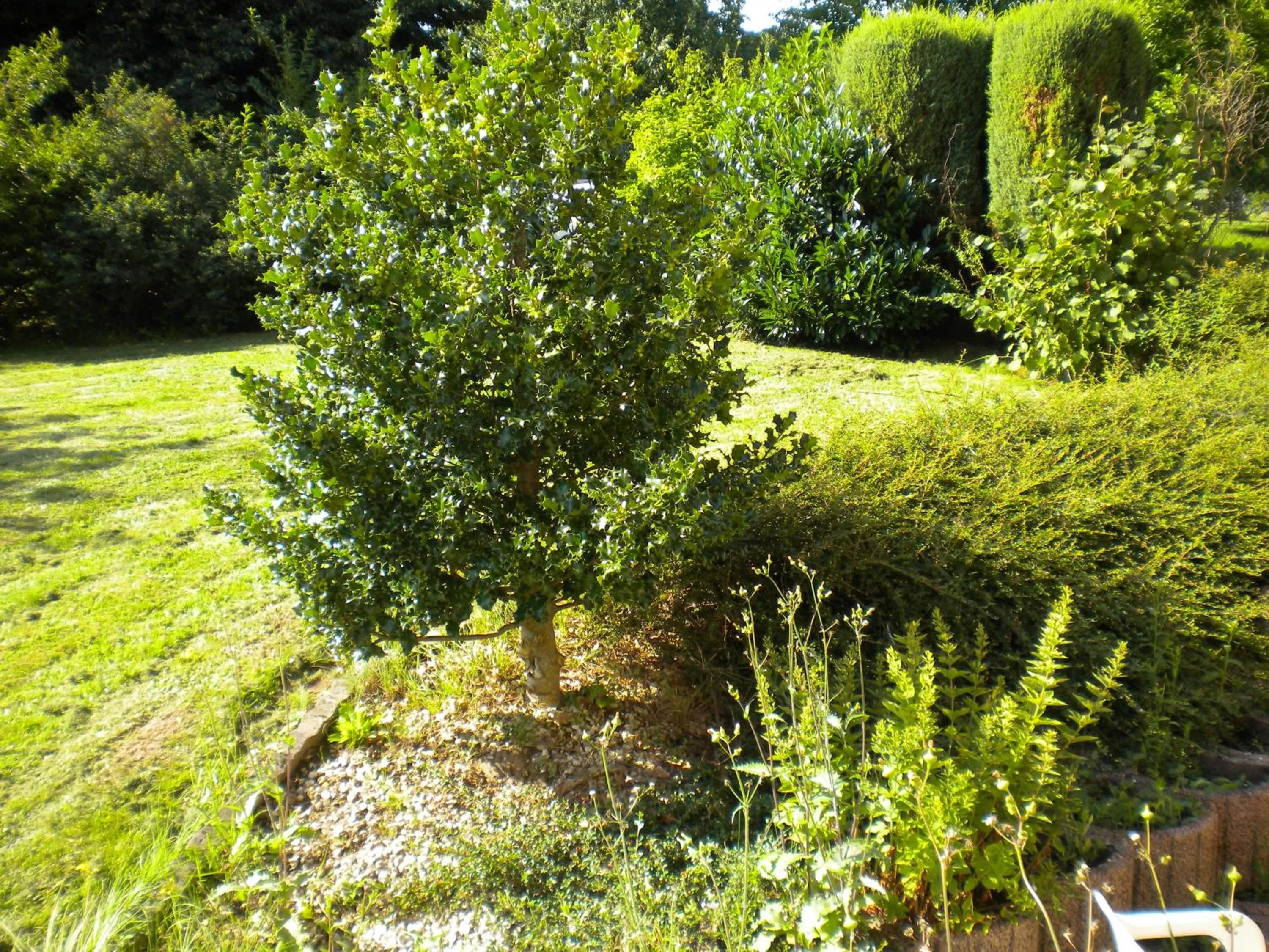 Day in Hotel Restaurant A l'Ange