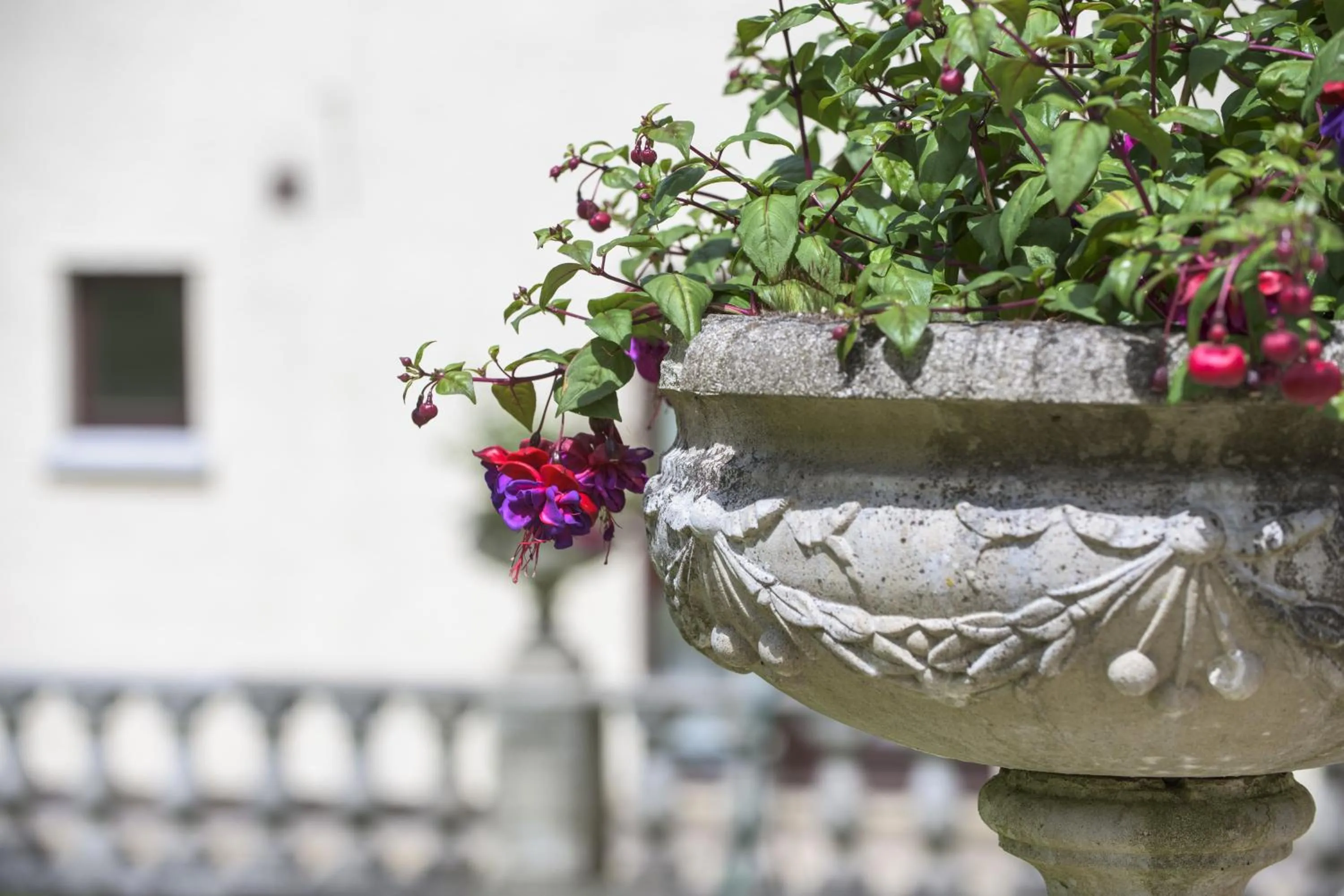 Garden in Newby Bridge Hotel