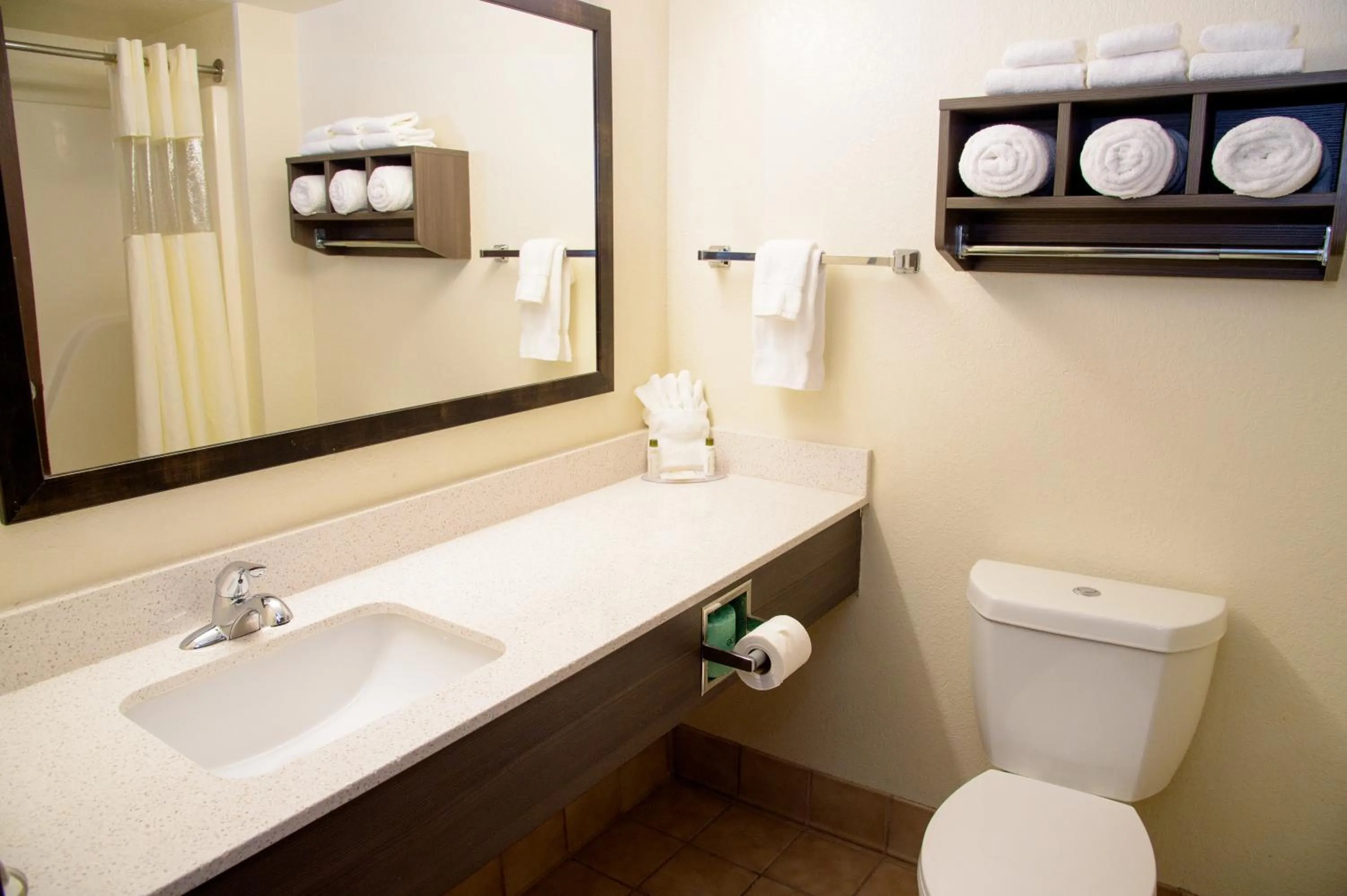 Toilet in Pigeon River Inn