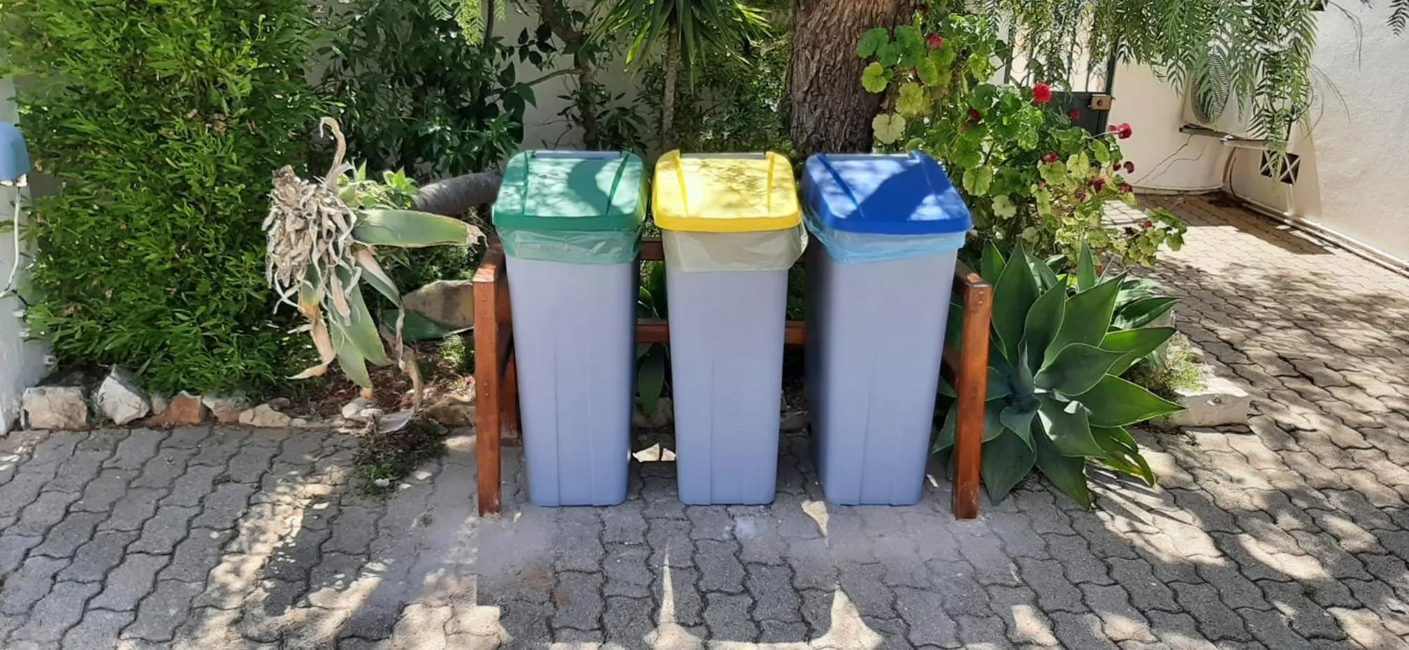 Day in Apartamentos Flor da Laranja, Albufeira by AlgarveBlossom