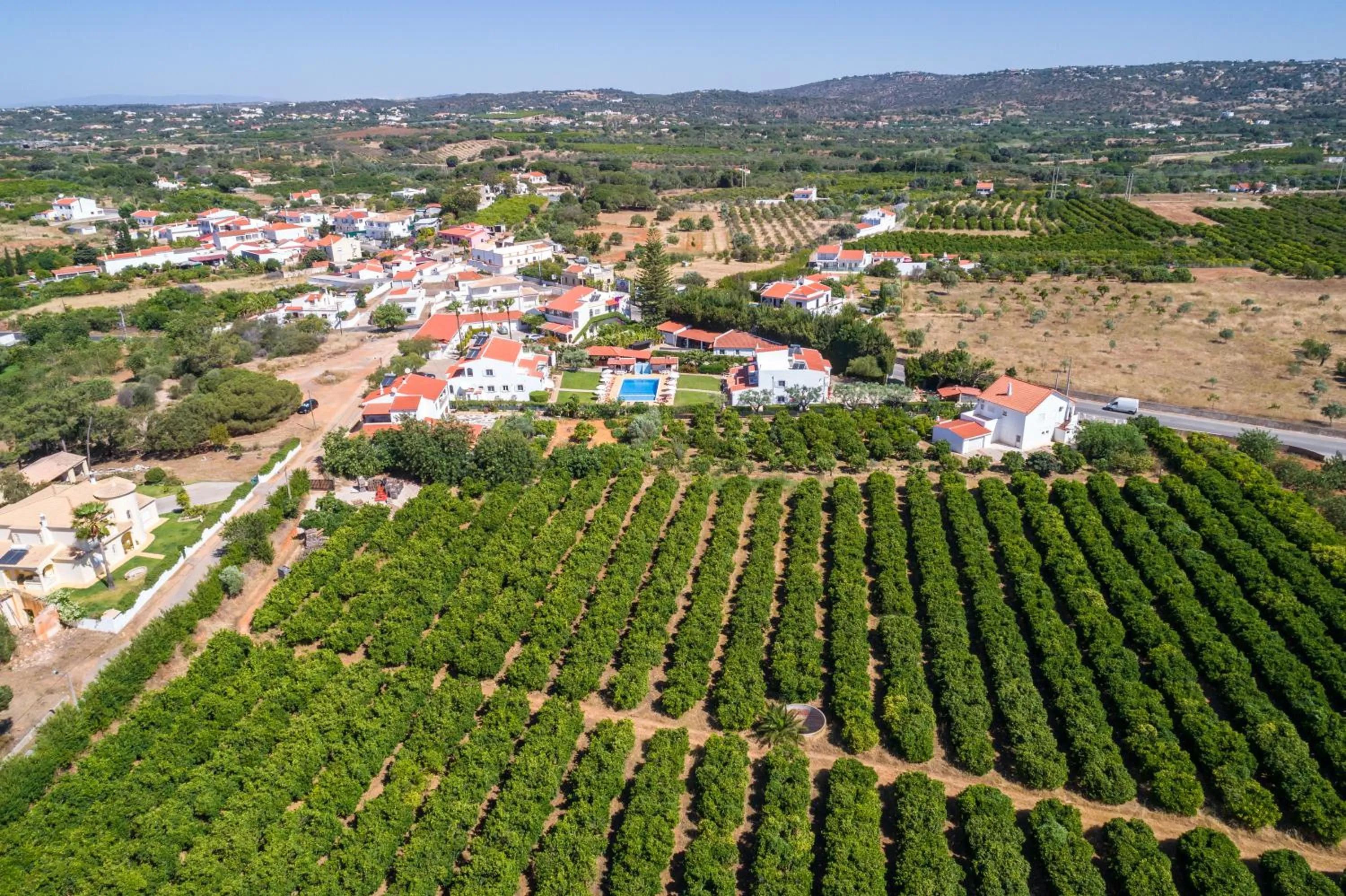 Bird's eye view in Apartamentos Flor da Laranja, Albufeira by AlgarveBlossom