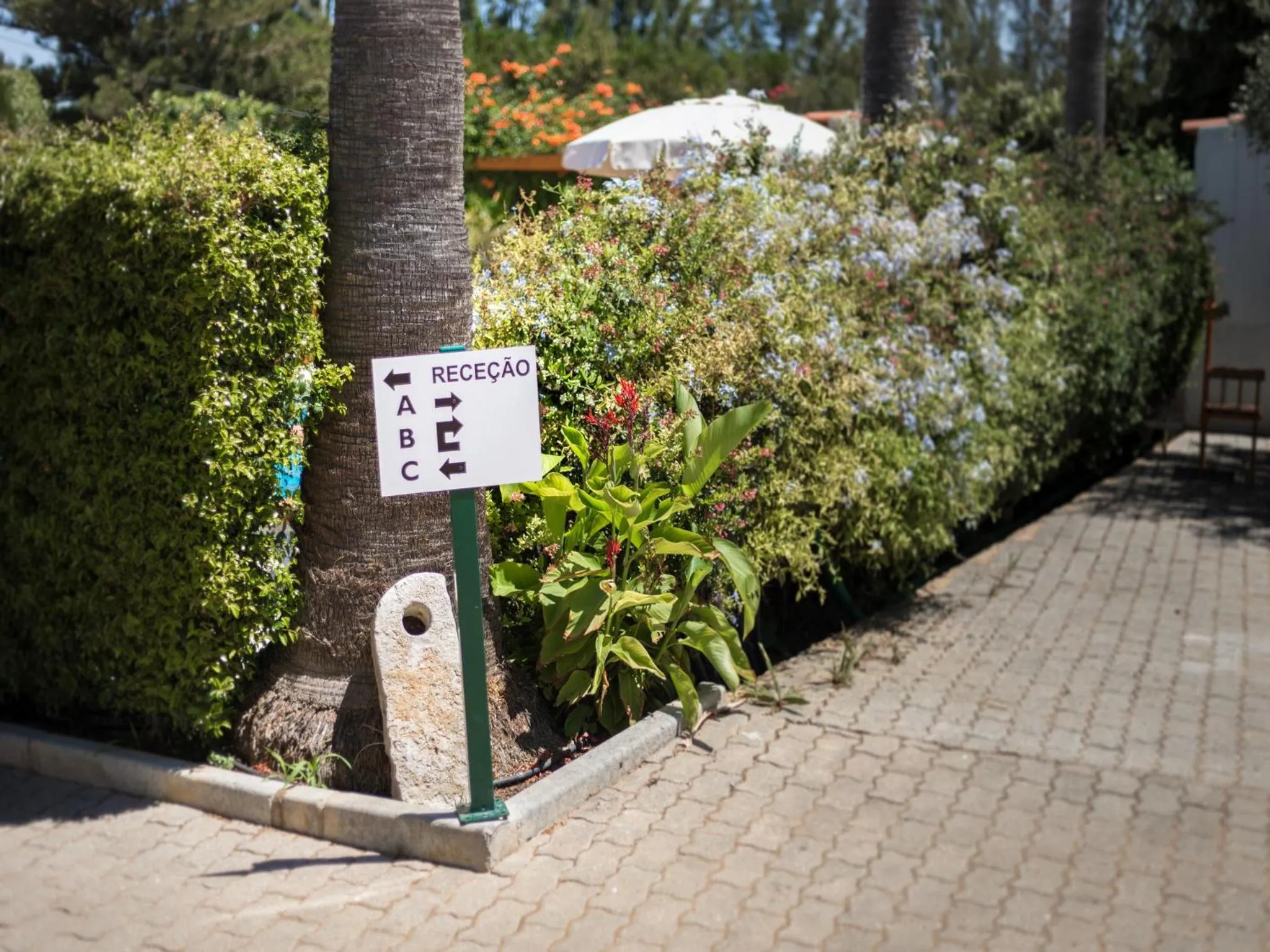 Summer in Apartamentos Flor da Laranja, Albufeira by AlgarveBlossom