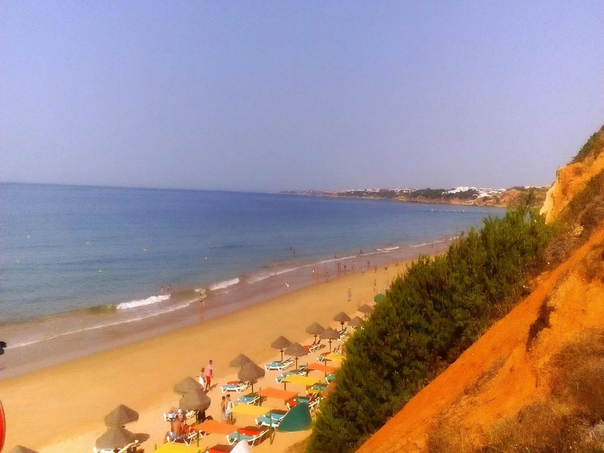 Natural landscape in Apartamentos Flor da Laranja, Albufeira by AlgarveBlossom