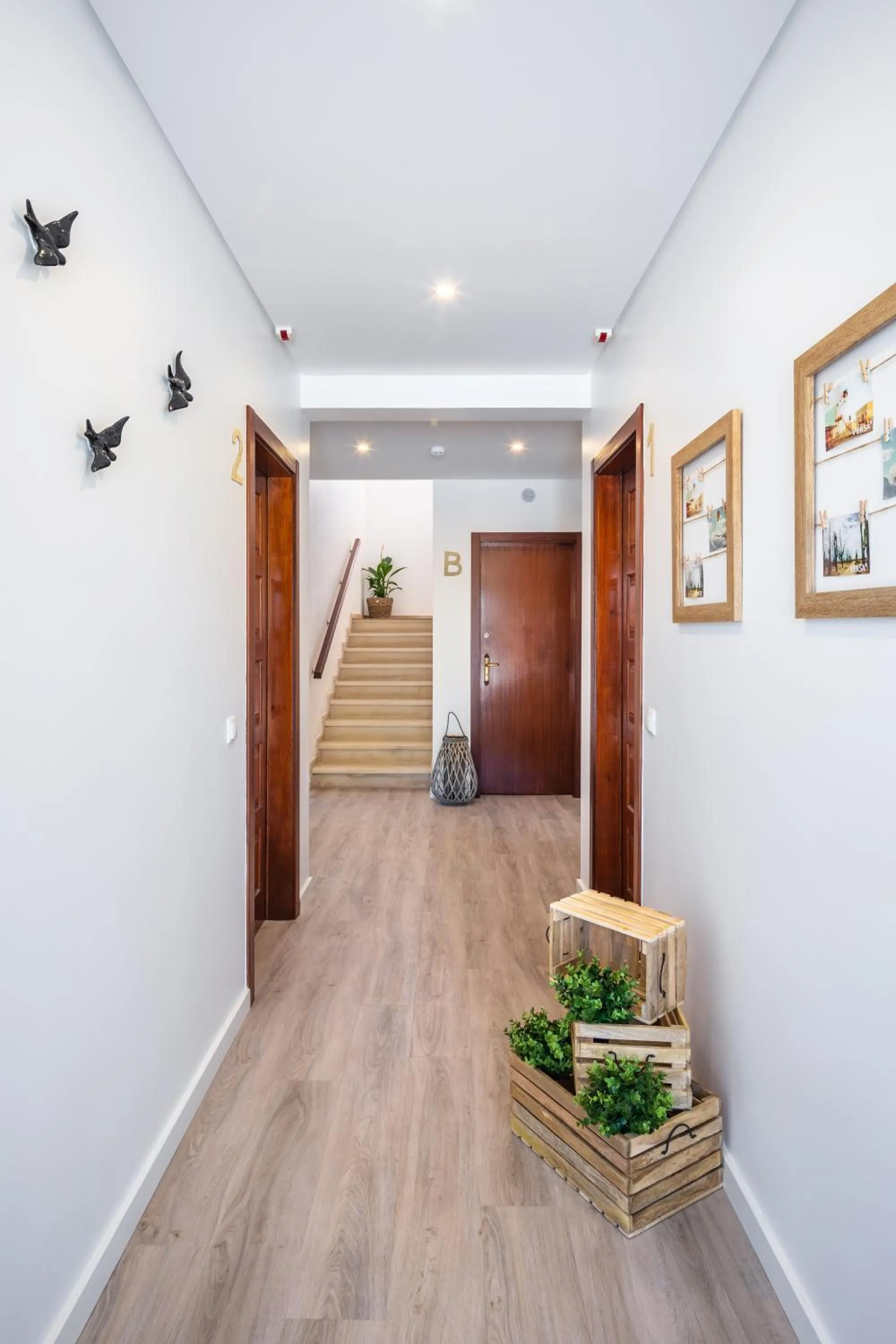 Property building in Apartamentos Flor da Laranja, Albufeira by AlgarveBlossom