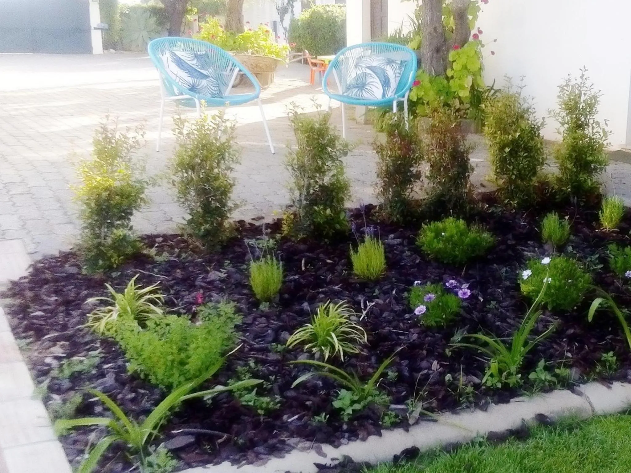 Spring in Apartamentos Flor da Laranja, Albufeira by AlgarveBlossom