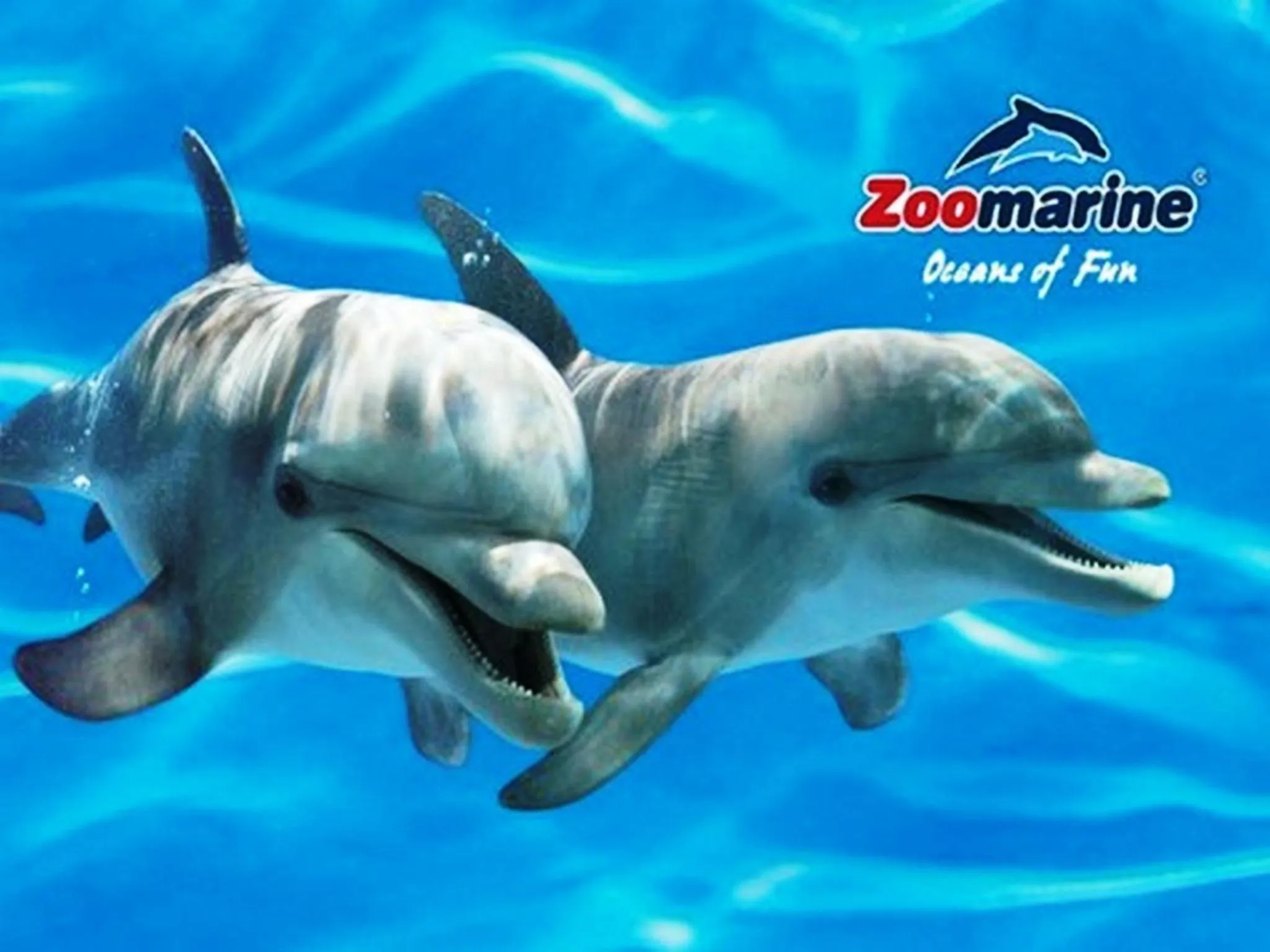 Aqua park in Apartamentos Monte dos Avós, Albufeira by AlgarveBlossom