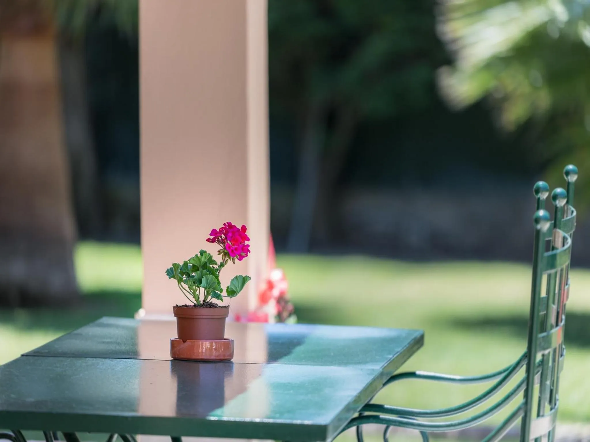 Day in Apartamentos Monte dos Avós, Albufeira by AlgarveBlossom