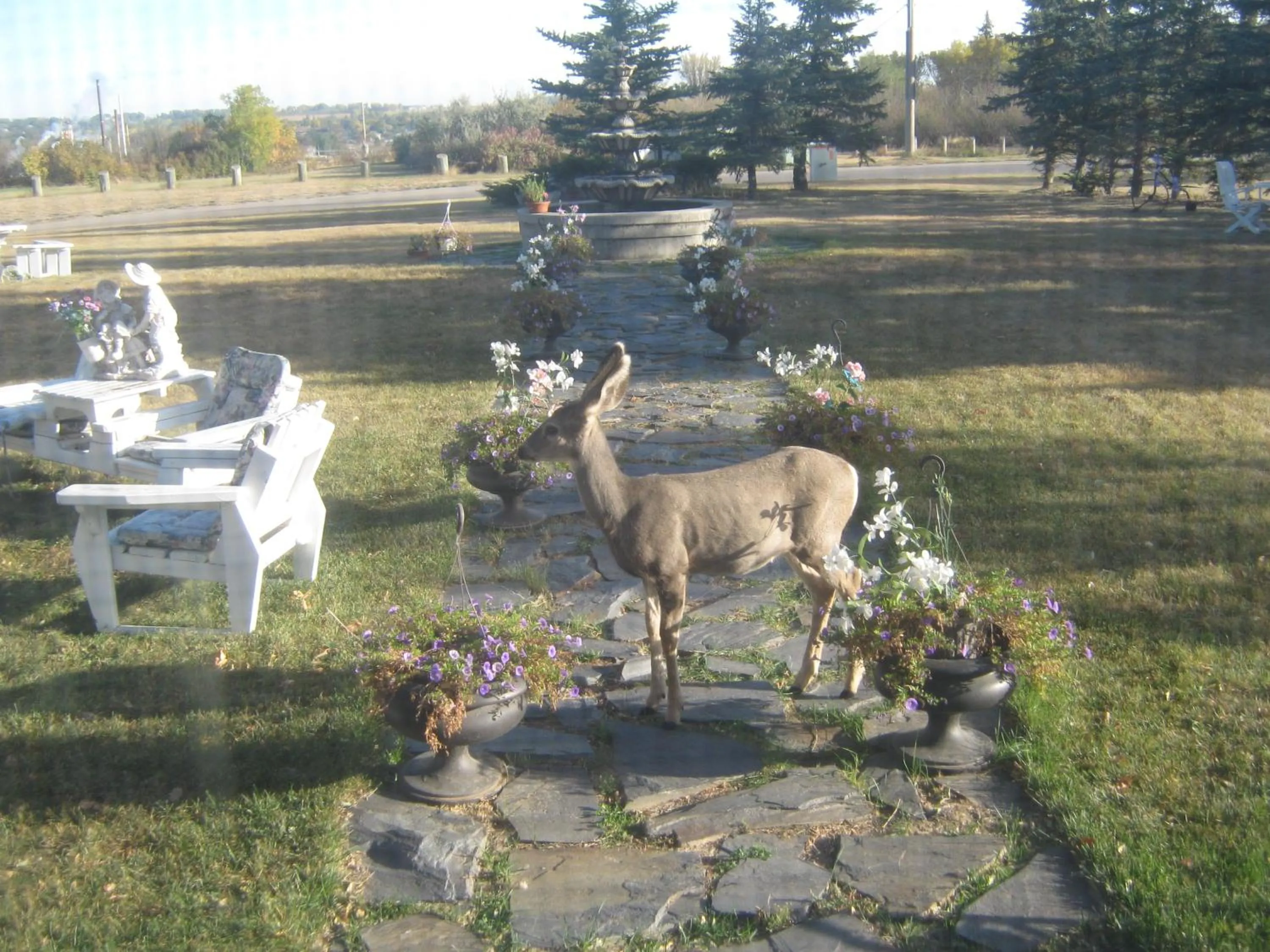 Garden in Wakamow Heights Bed and Breakfast