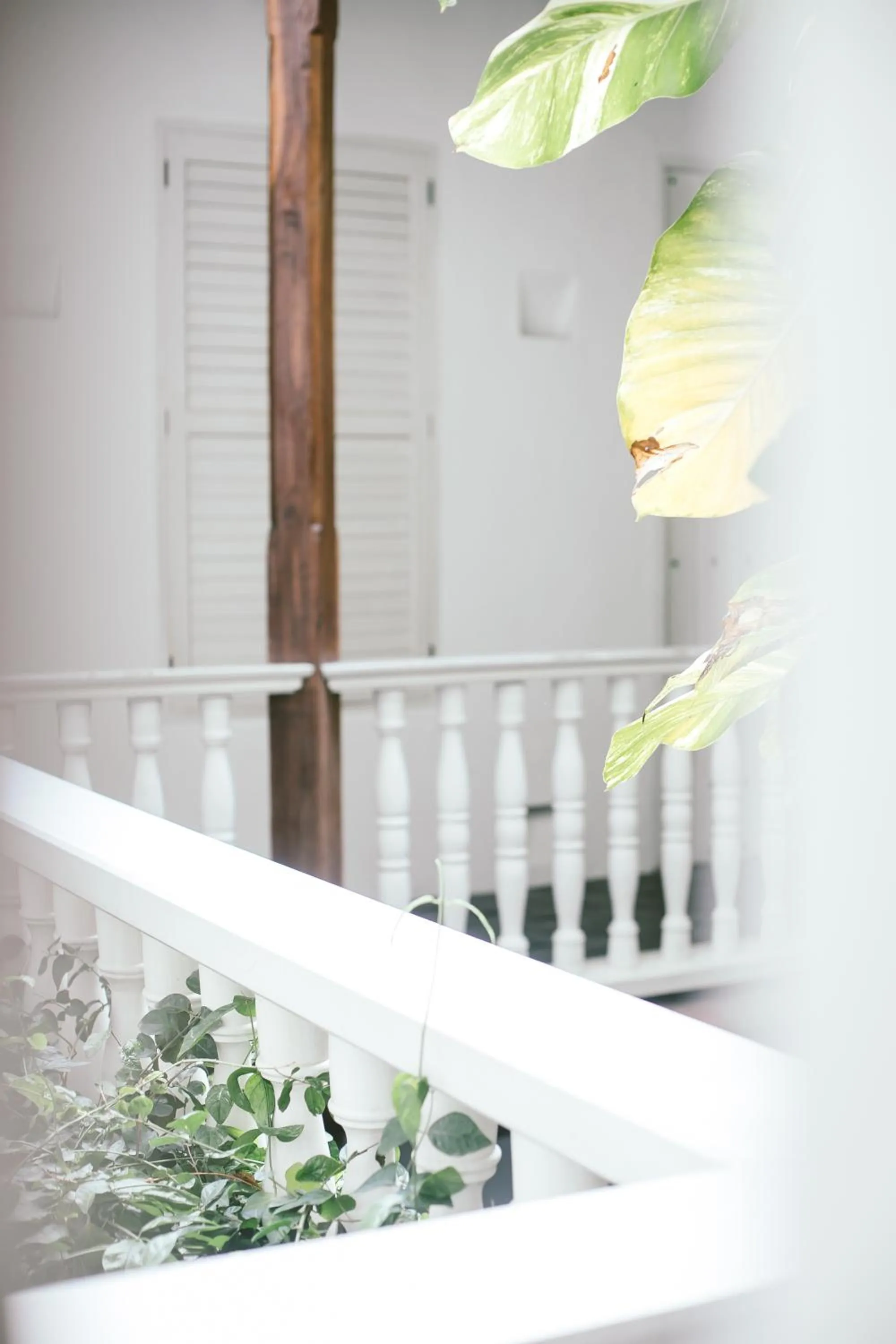 Balcony/Terrace in Amarla Boutique Hotel Cartagena